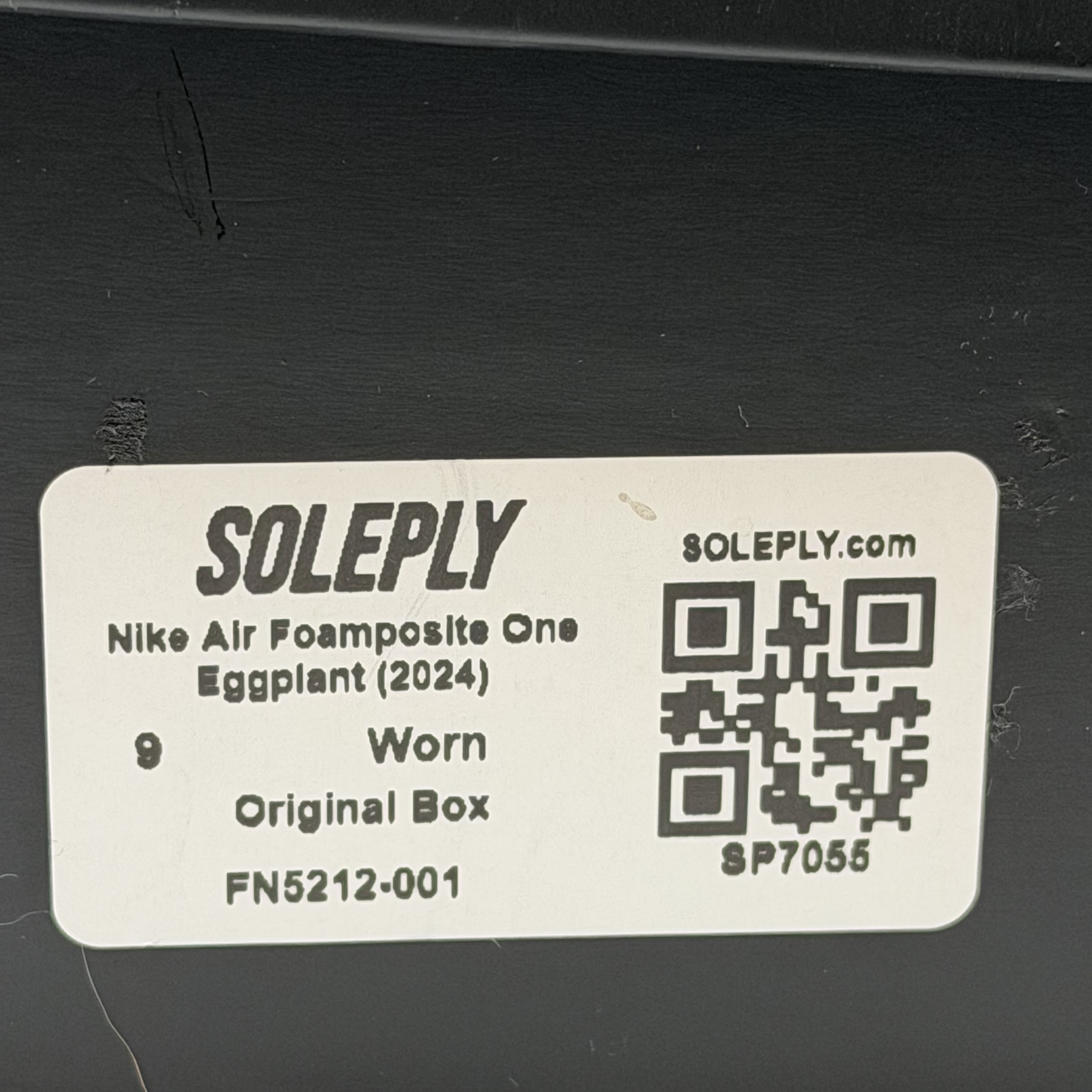 SP7055 Nike Air Foamposite One Eggplant (2024)
