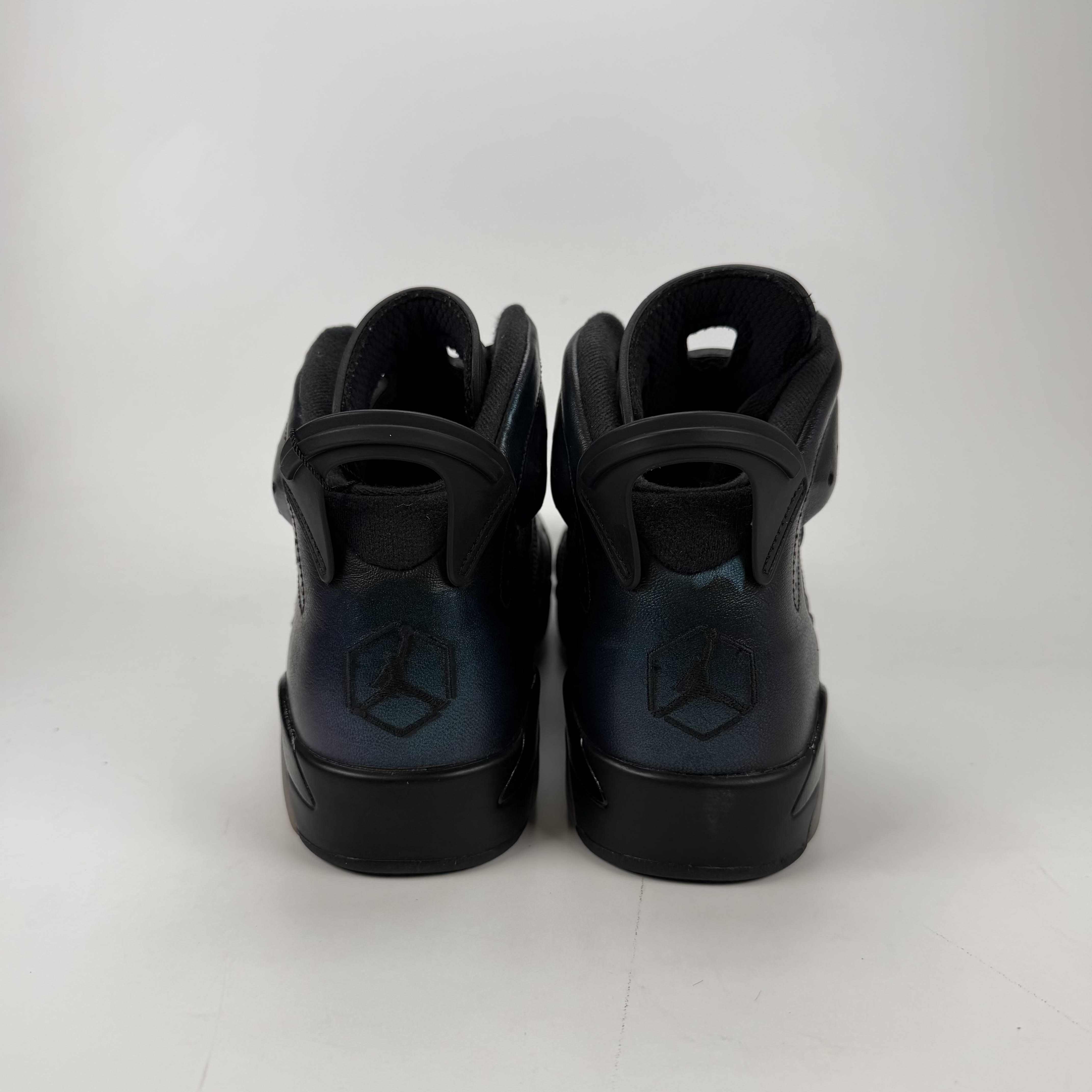 SP5163 Jordan 6 Retro All-Star Chameleon (2017)