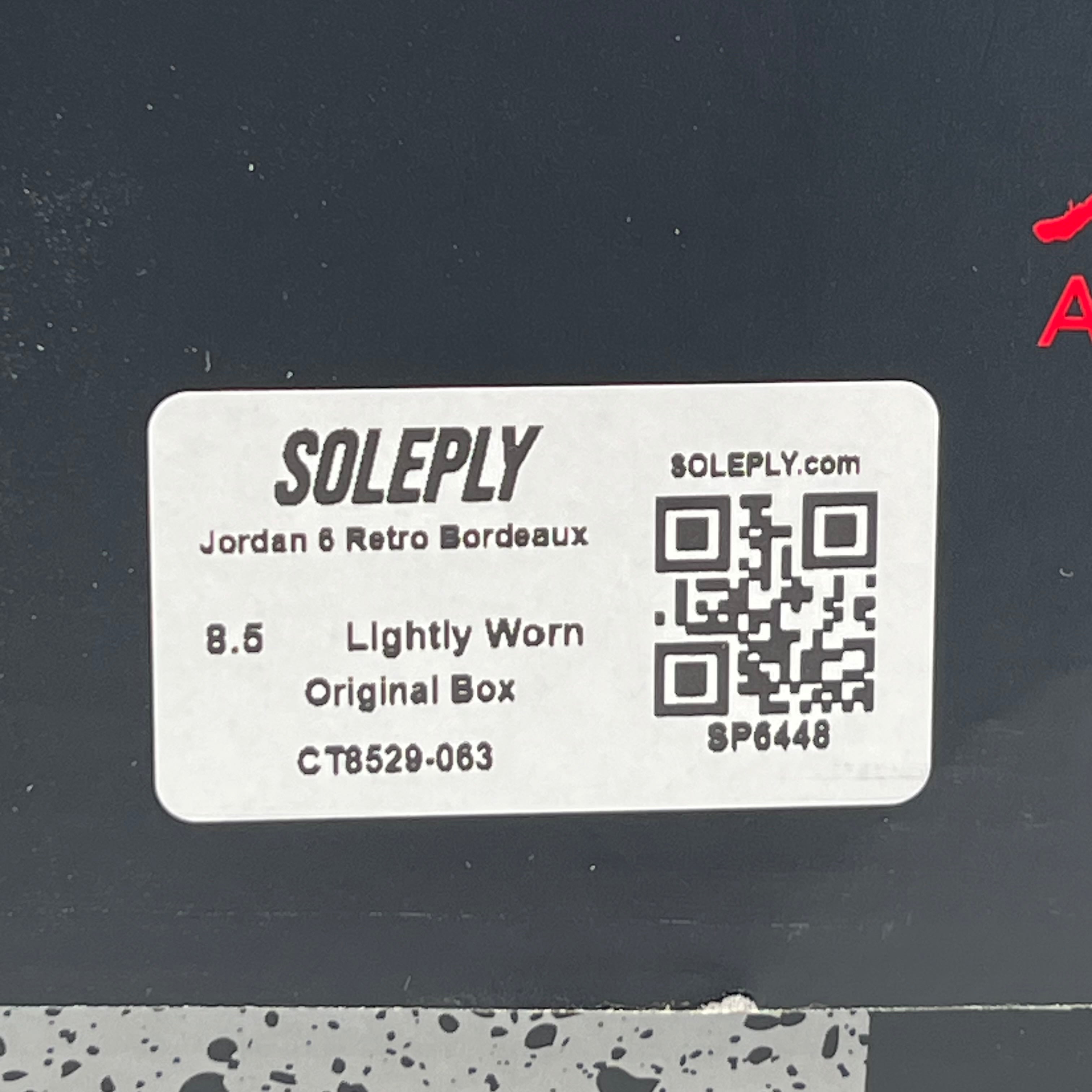 SP6448 Jordan 6 Retro Bordeaux