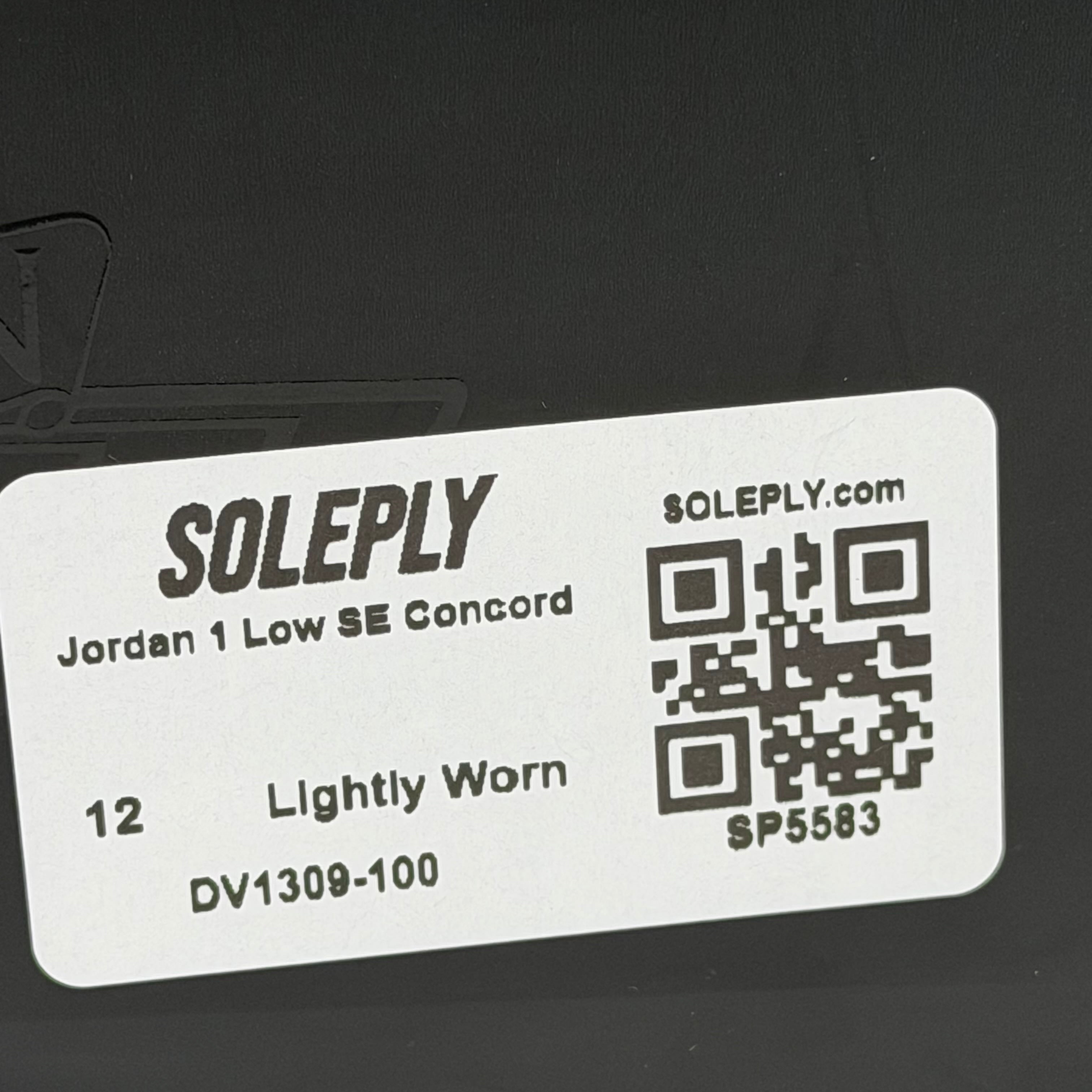 SP5583 Jordan 1 Low SE Concord