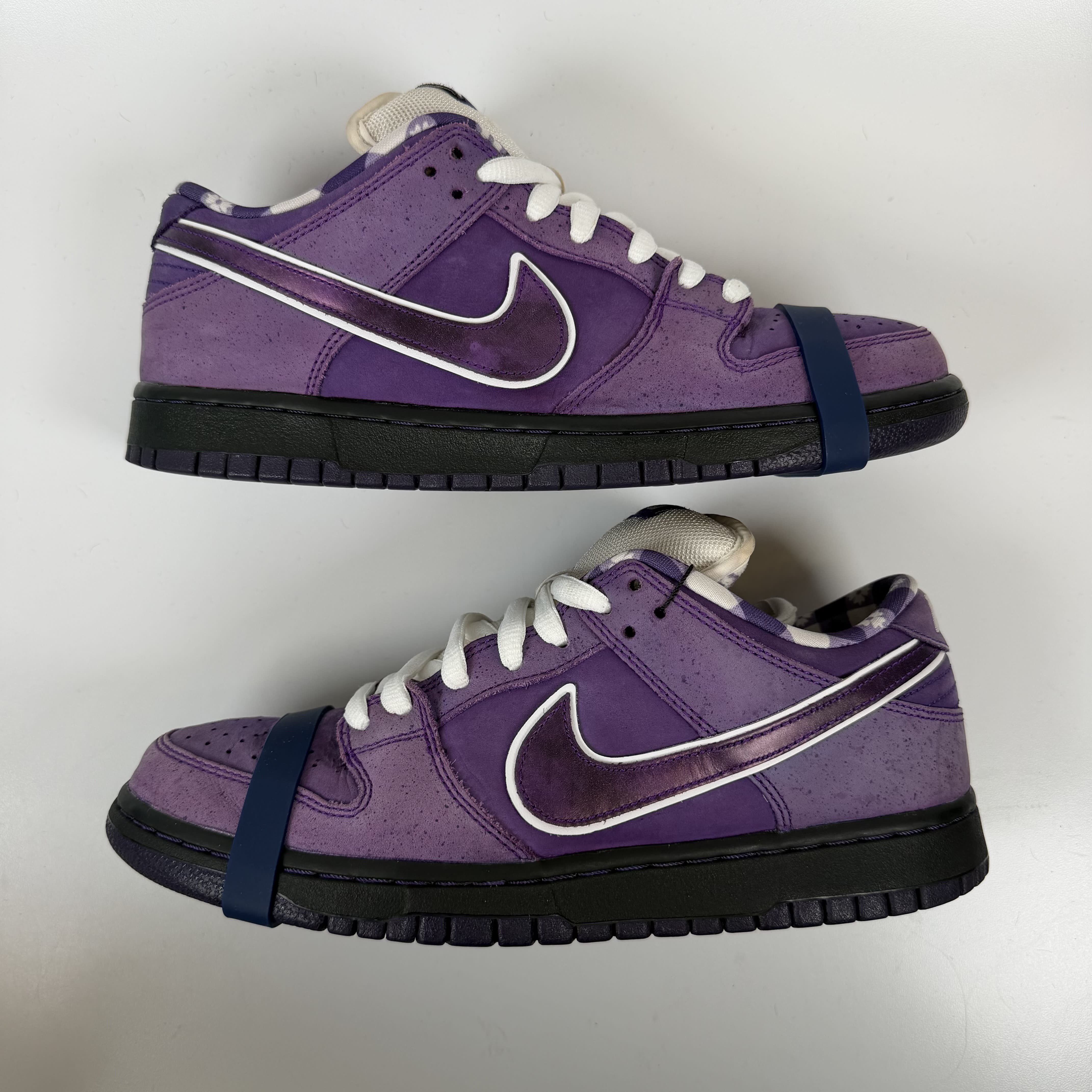 SP7767 Nike SB Dunk Low Concepts Purple Lobster (Special Box)