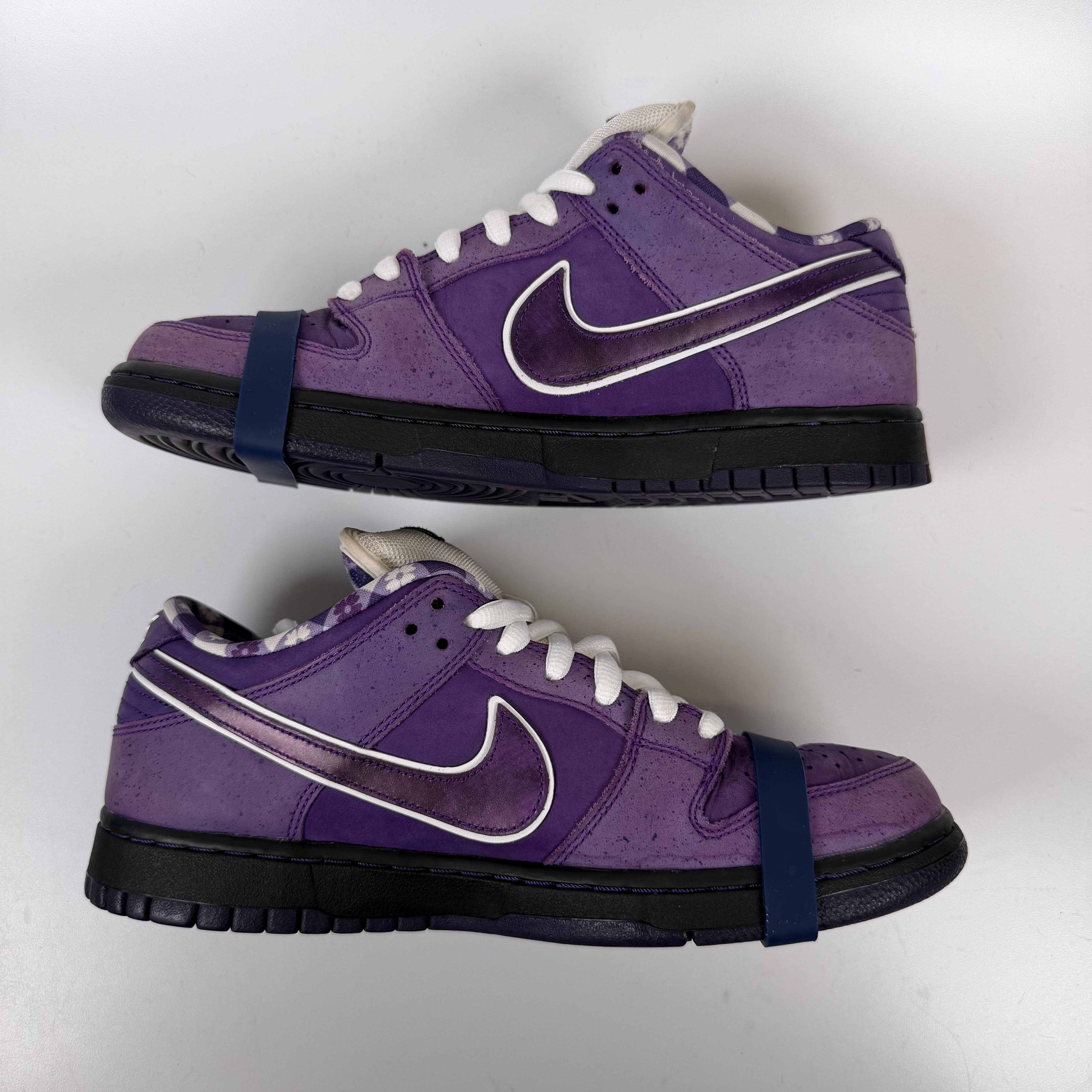 SP7767 Nike SB Dunk Low Concepts Purple Lobster (Special Box)