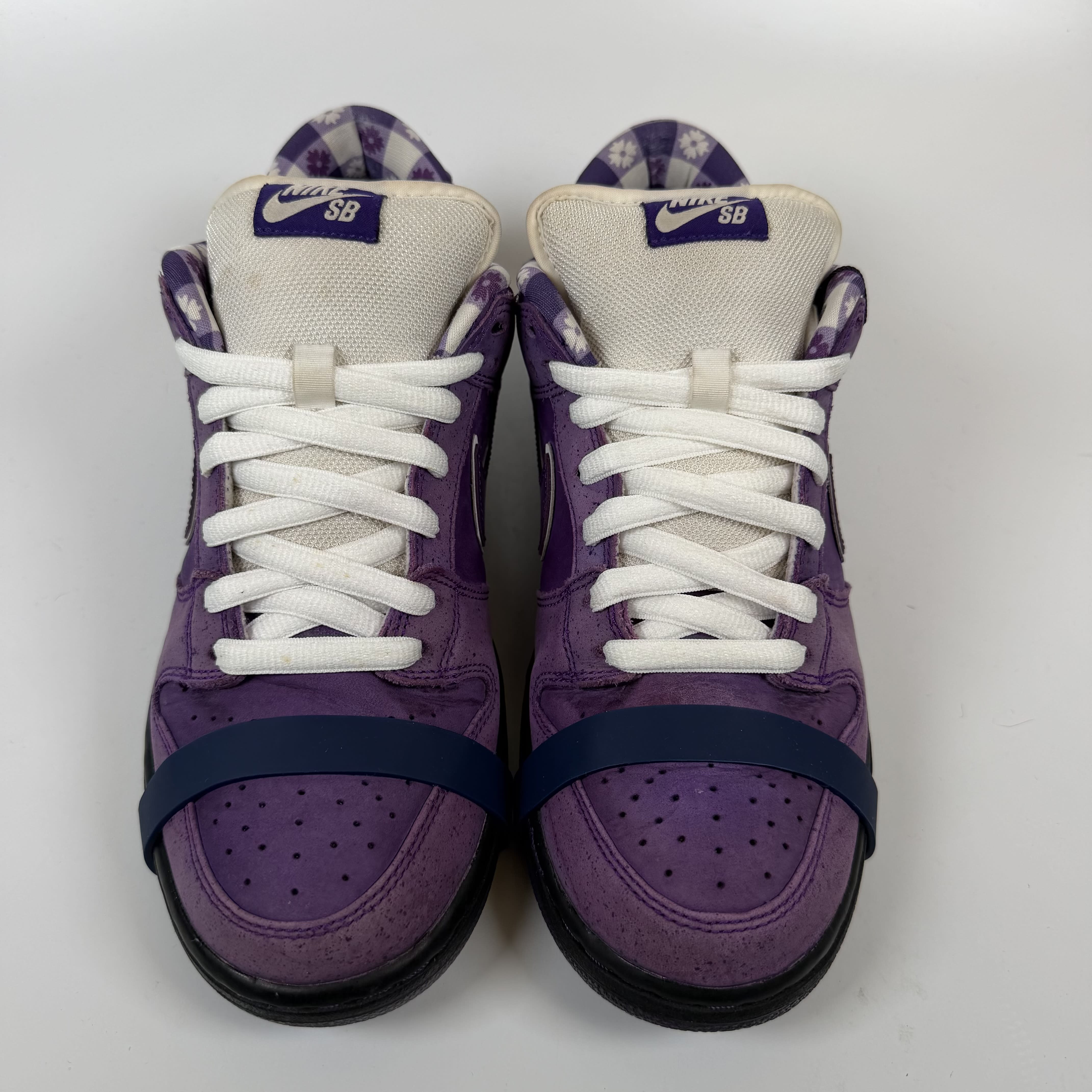 SP7767 Nike SB Dunk Low Concepts Purple Lobster (Special Box)