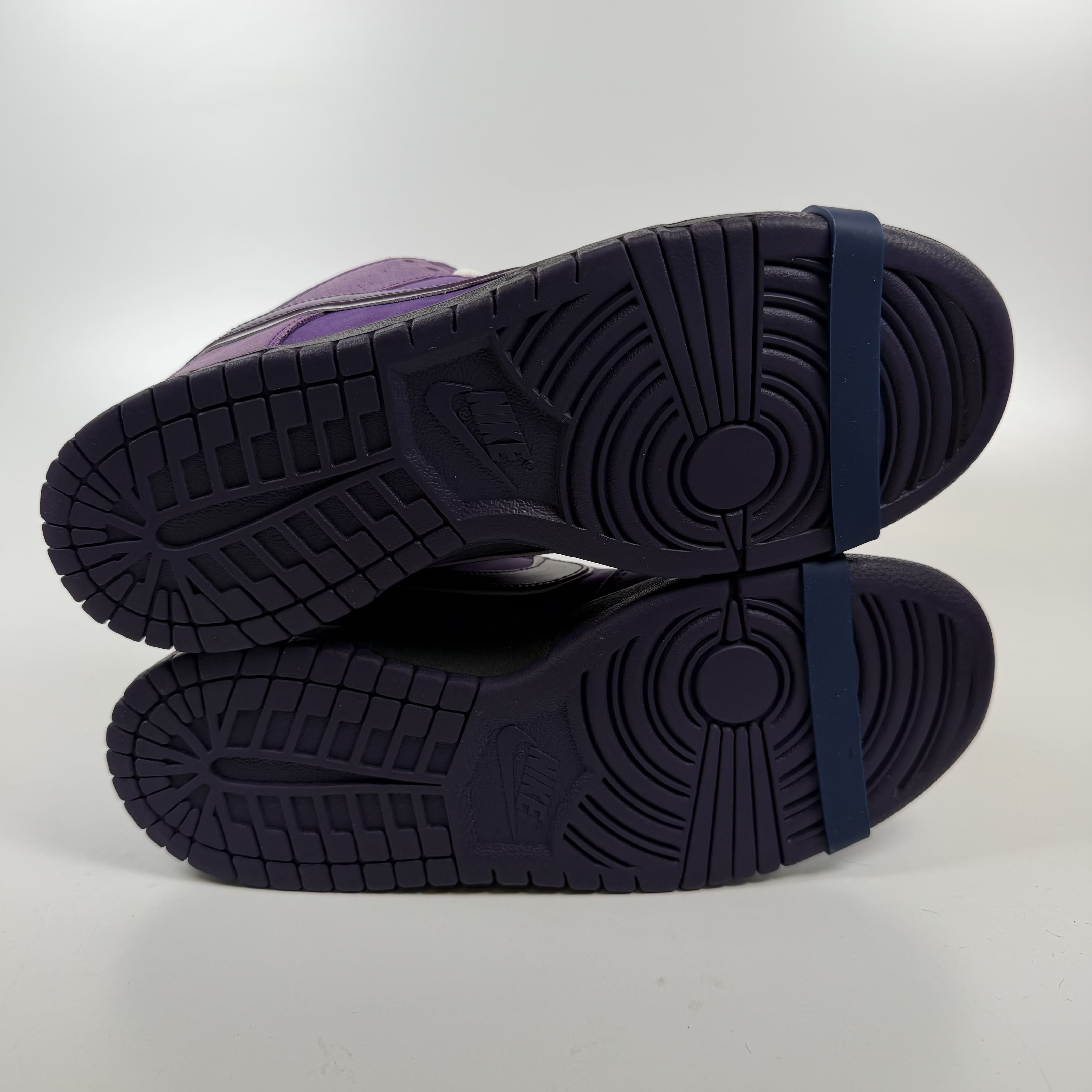 SP7767 Nike SB Dunk Low Concepts Purple Lobster (Special Box)