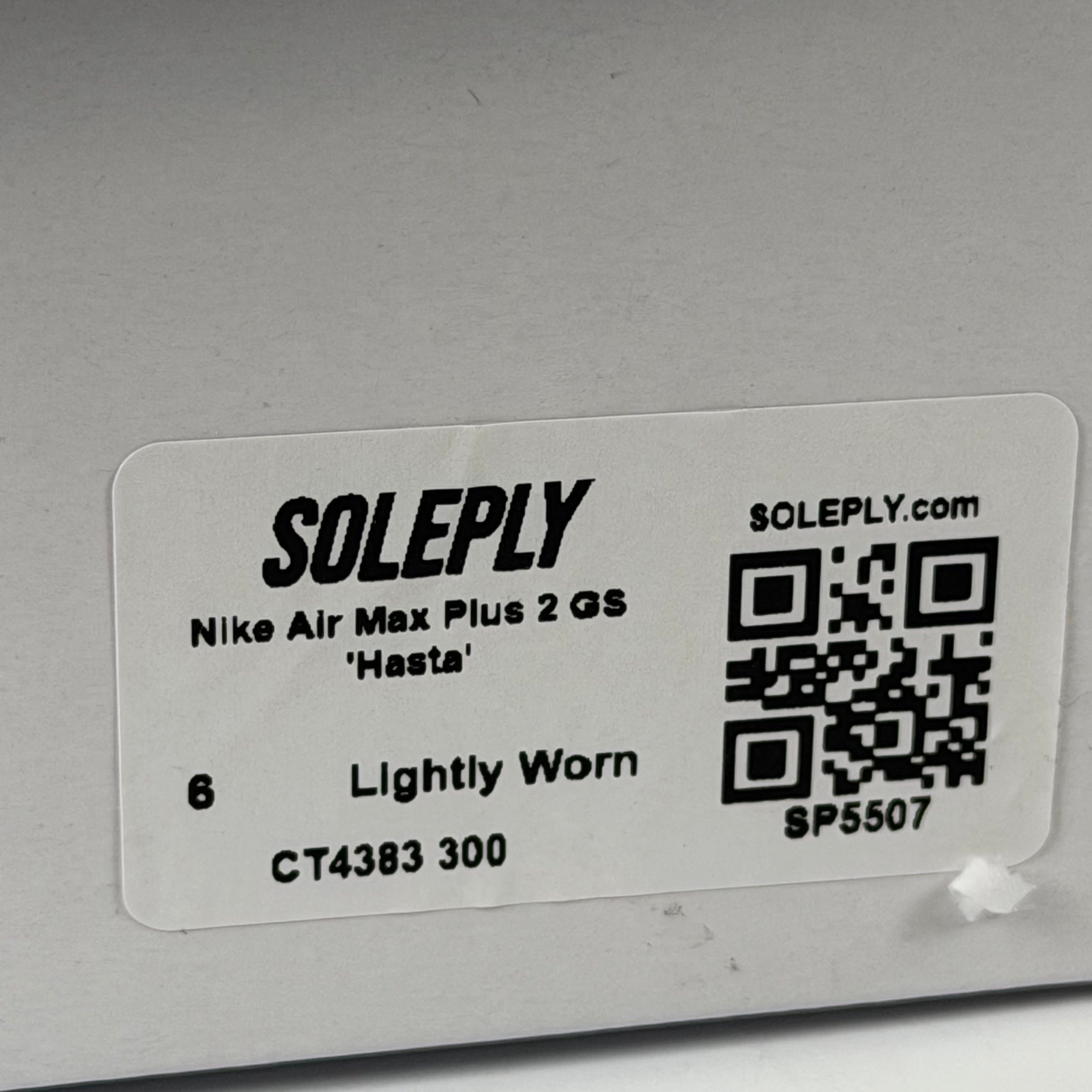 SP5507 Nike Air Max Plus 2 GS 'Hasta'