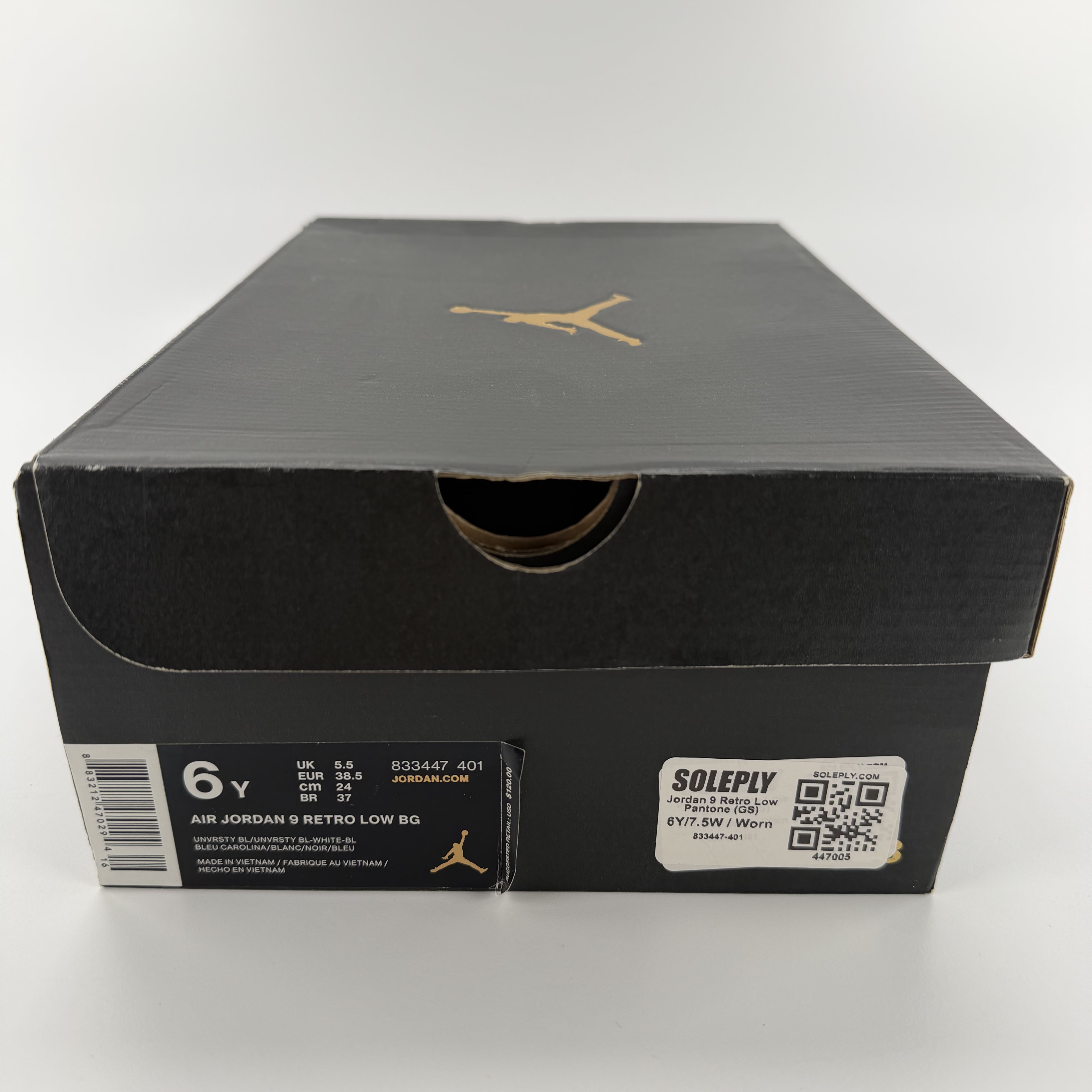447005 Jordan 9 Retro Low Pantone (GS)
