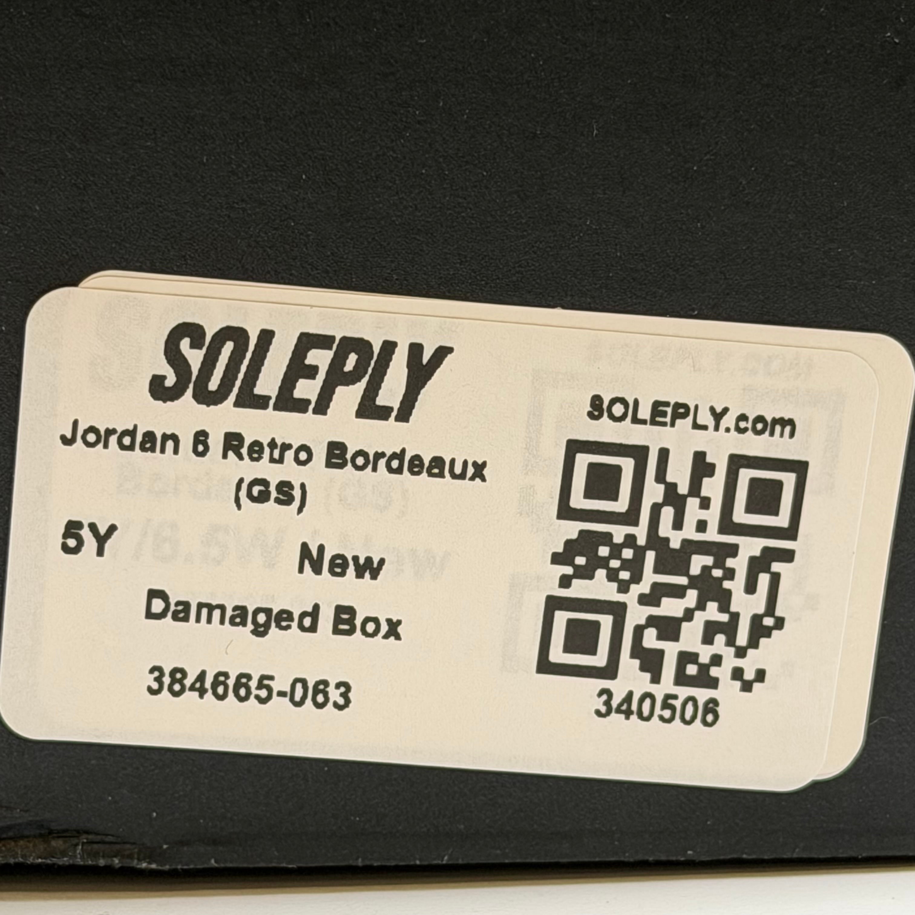 340506 Jordan 6 Retro Bordeaux (GS)