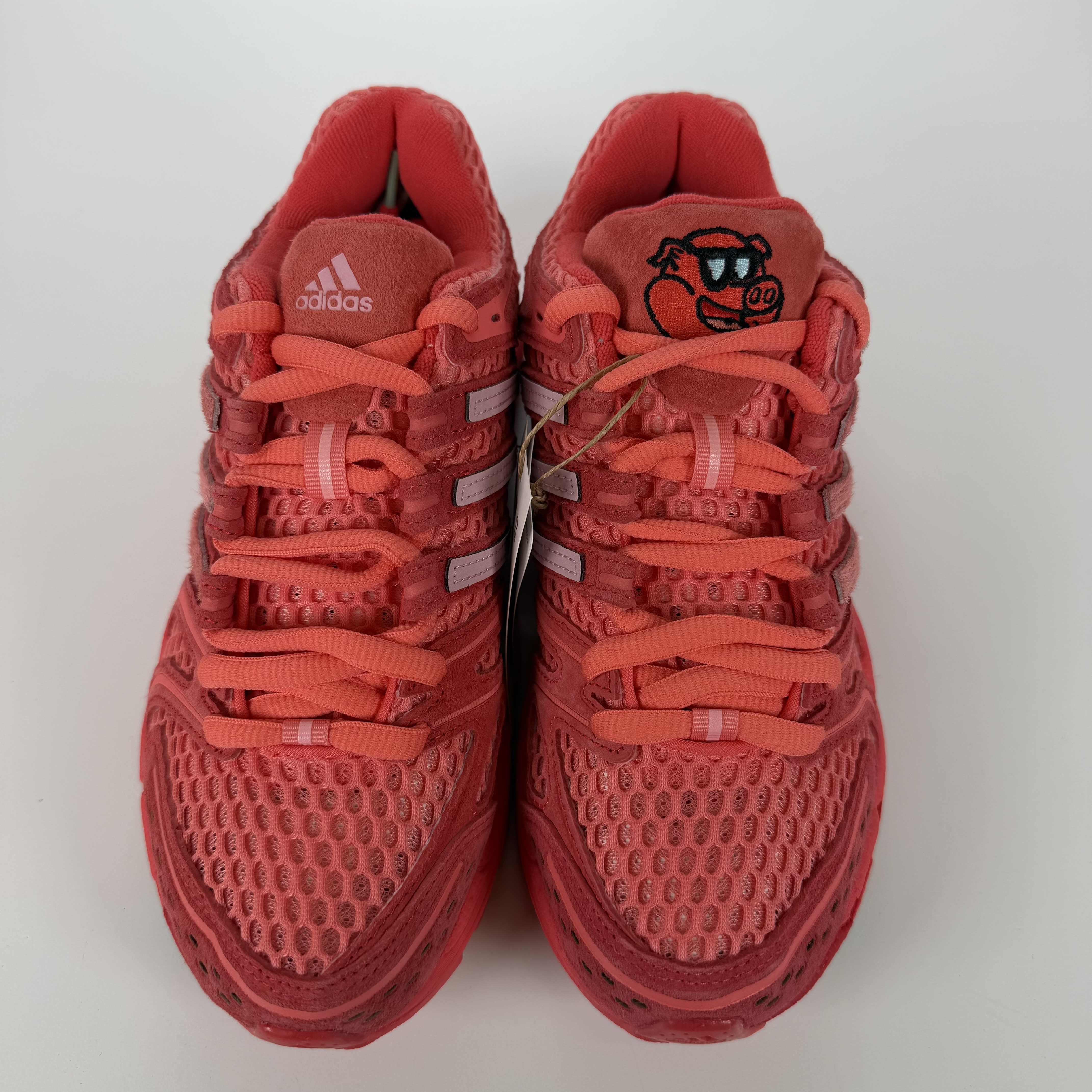 SP6459 adidas Adistar Control 5 Unheardof Pork Chop Piggy Runner 2.0 Steve-O
