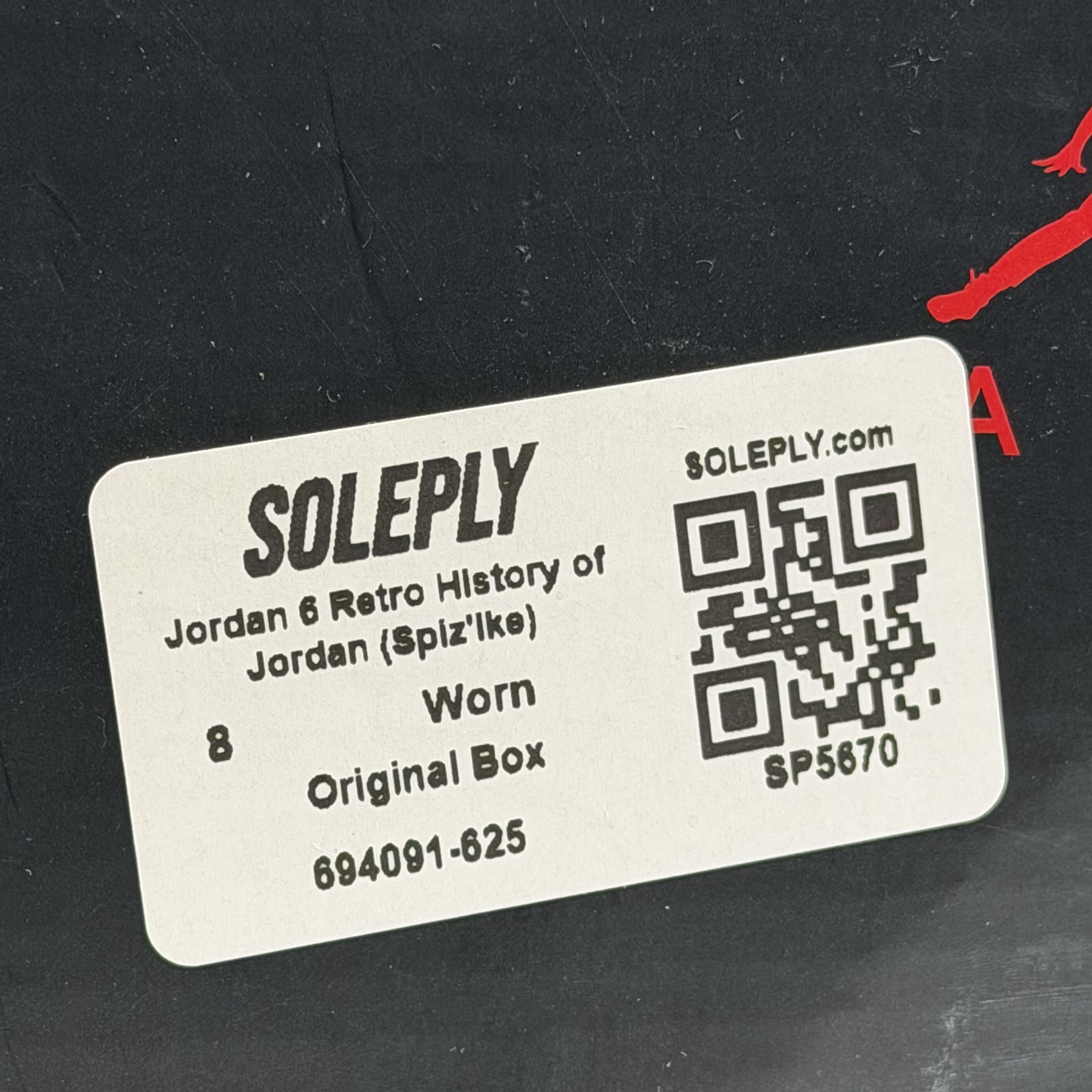 SP5670 Jordan 6 Retro History of Jordan (Spiz'ike)