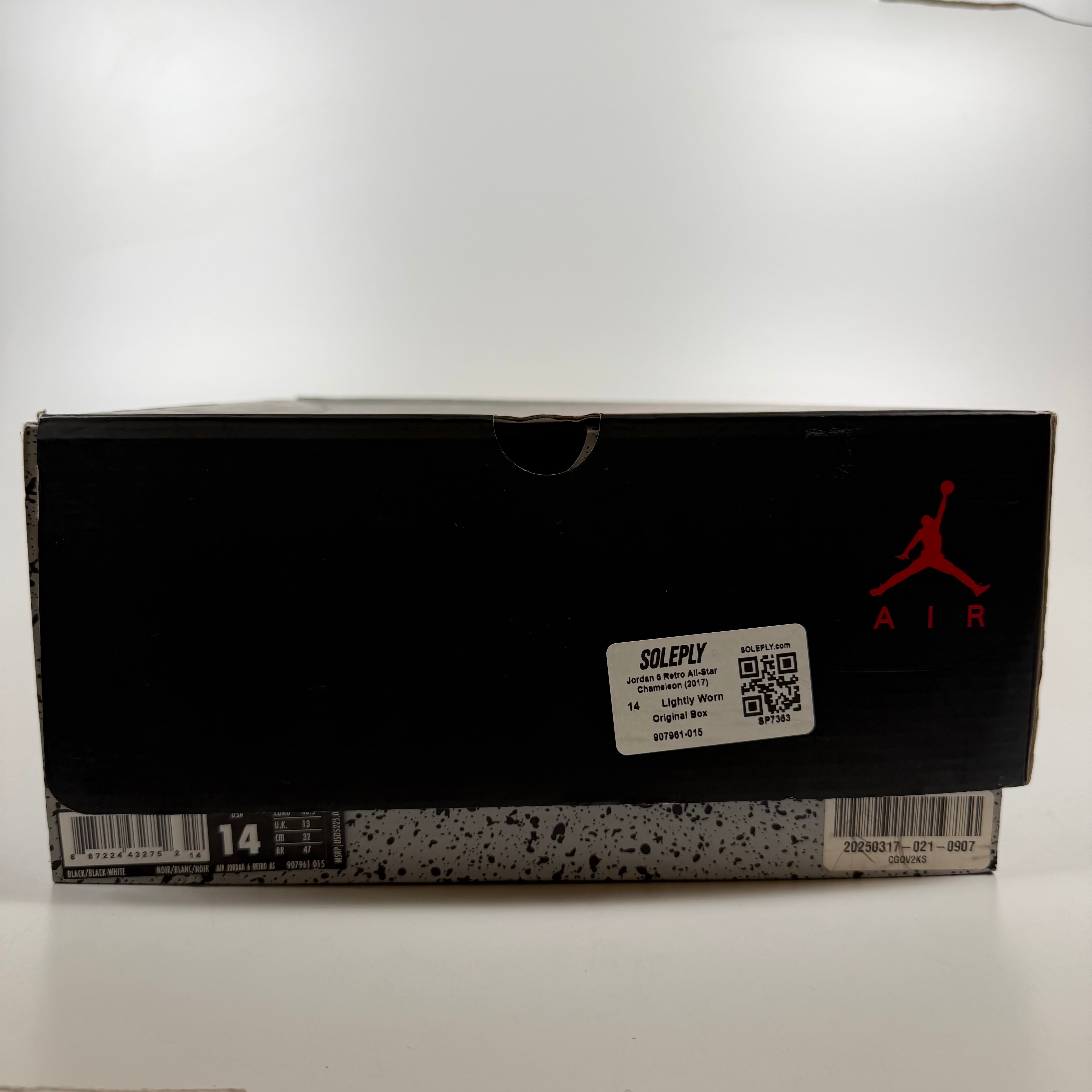 SP7363 Jordan 6 Retro All-Star Chameleon (2017)