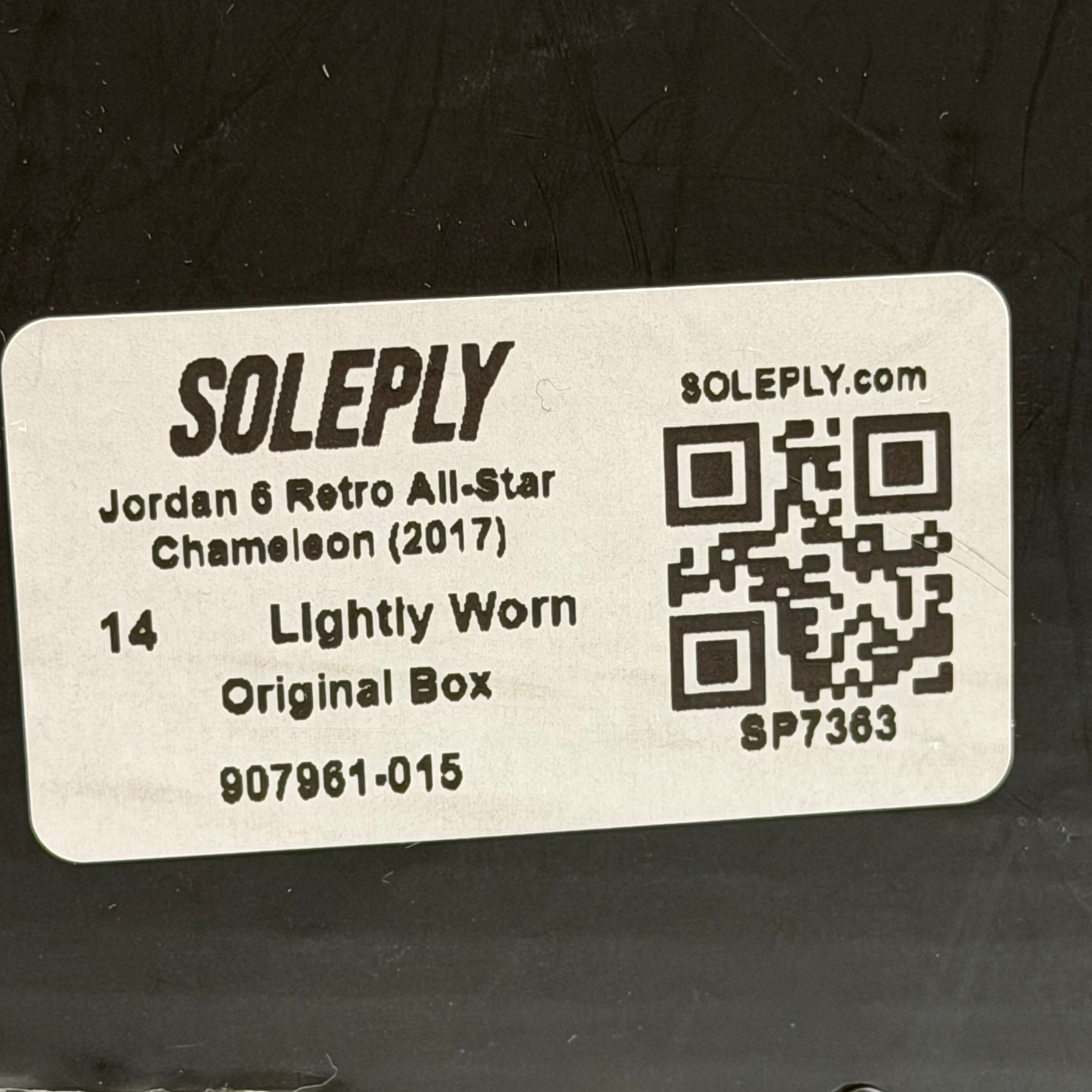 SP7363 Jordan 6 Retro All-Star Chameleon (2017)