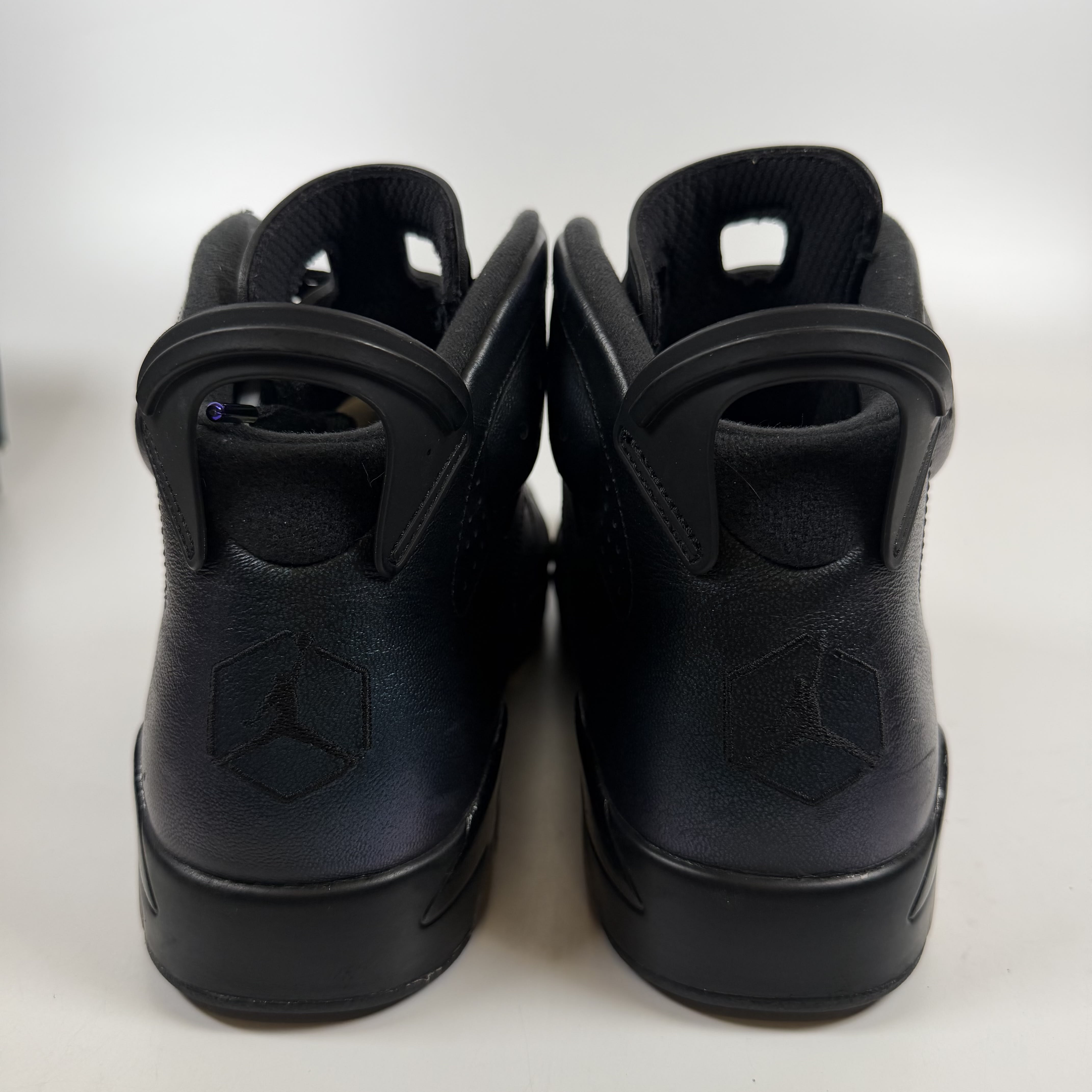 SP7363 Jordan 6 Retro All-Star Chameleon (2017)