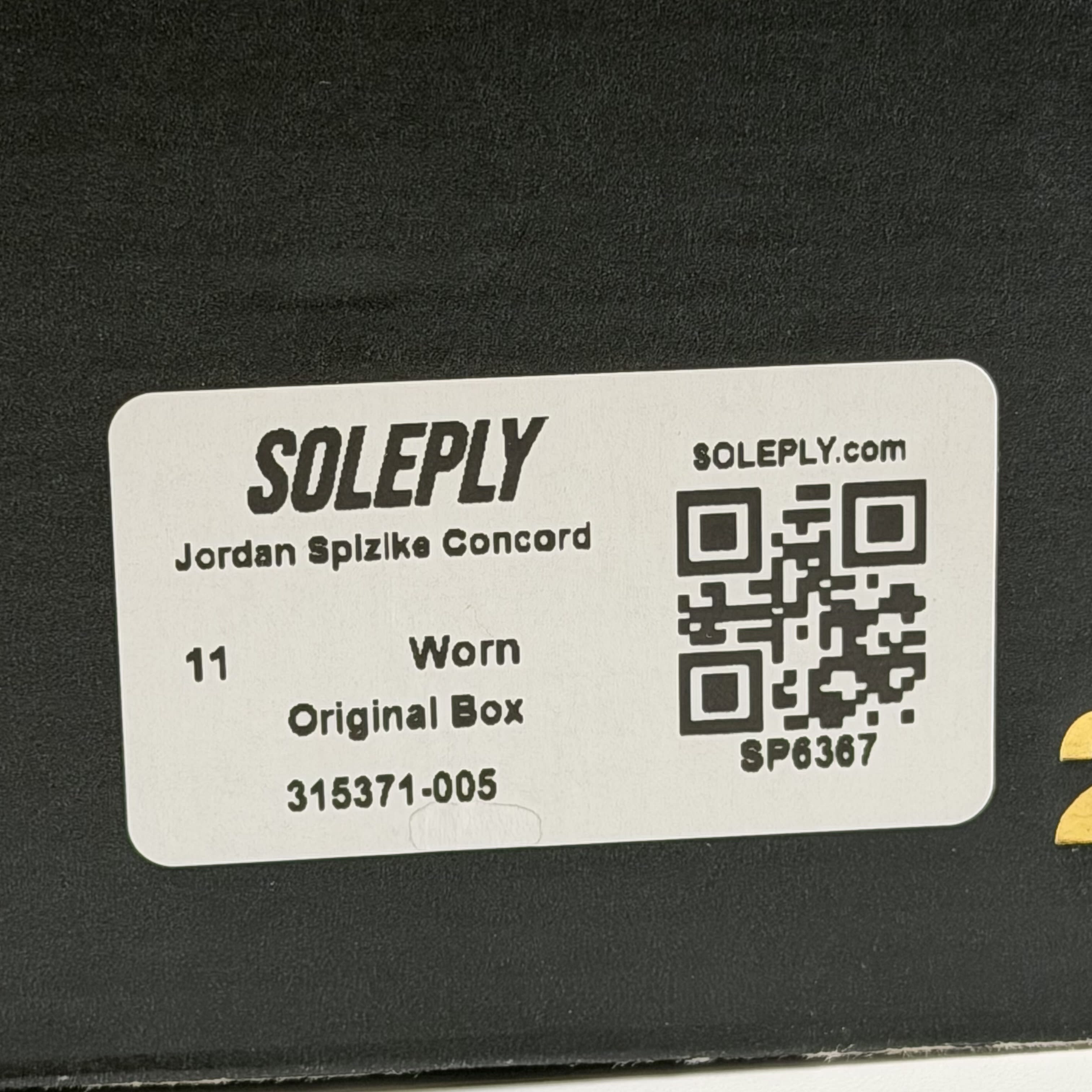 SP6367 Jordan Spizike Concord