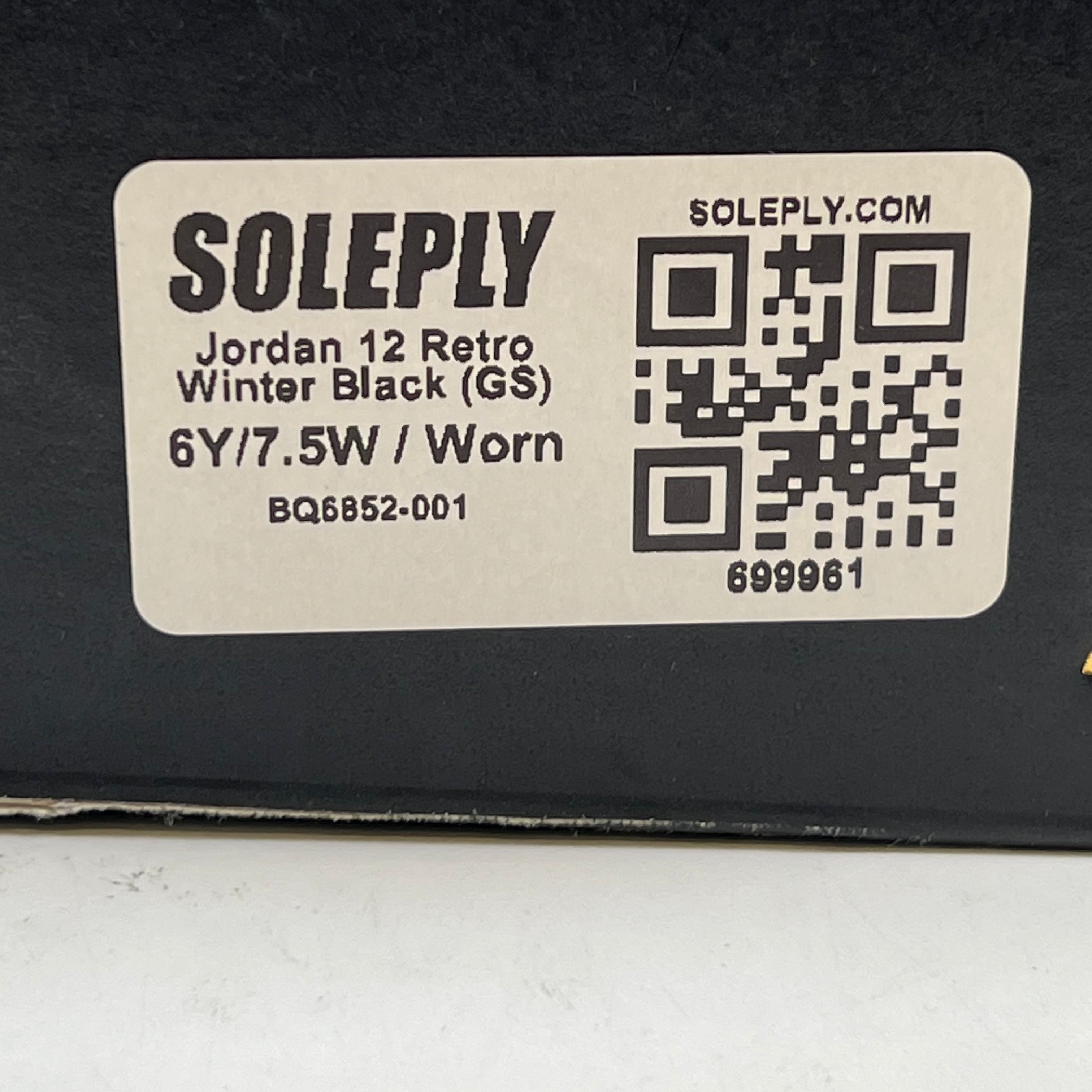 699961 Jordan 12 Retro Winter Black (GS)