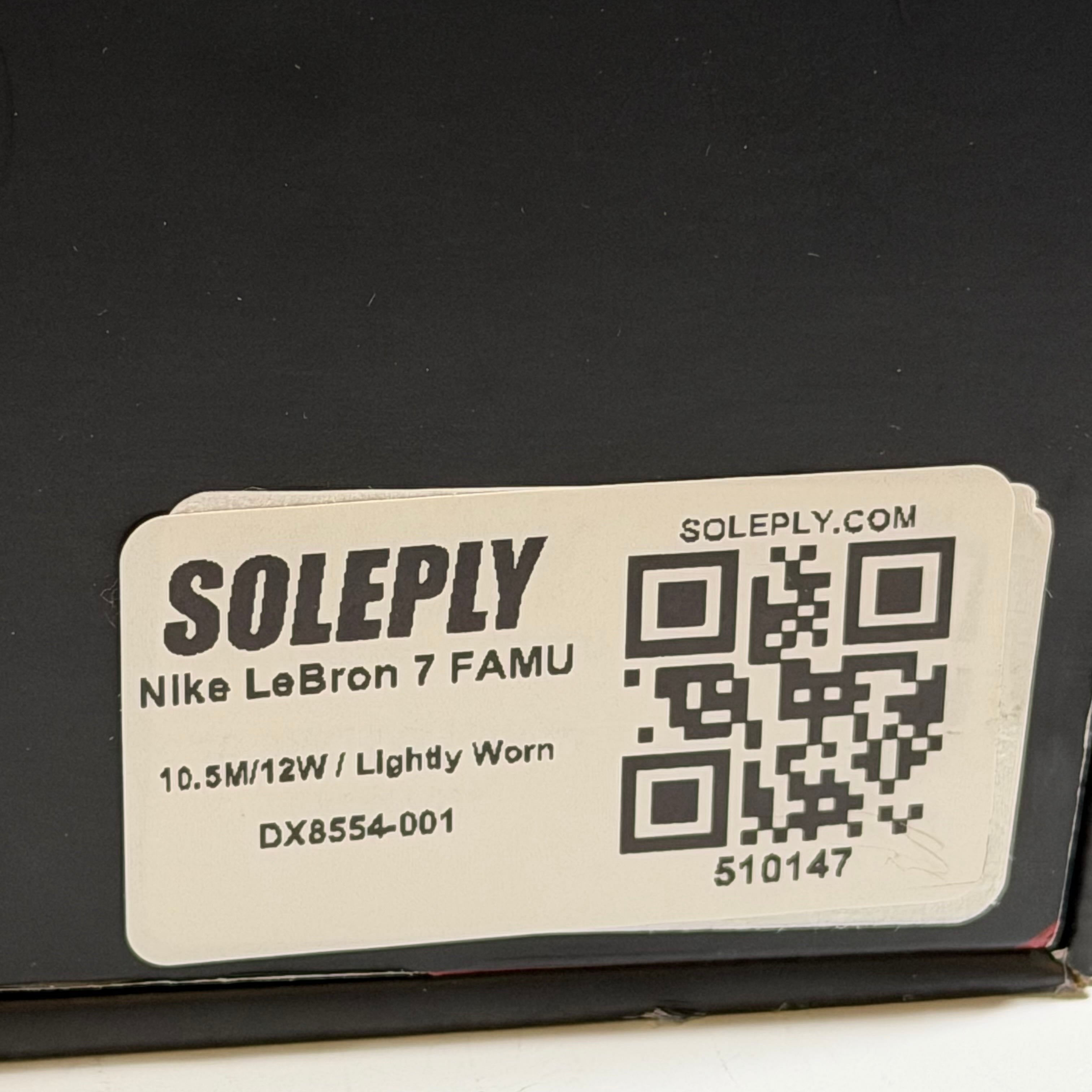 510147 Nike LeBron 7 FAMU