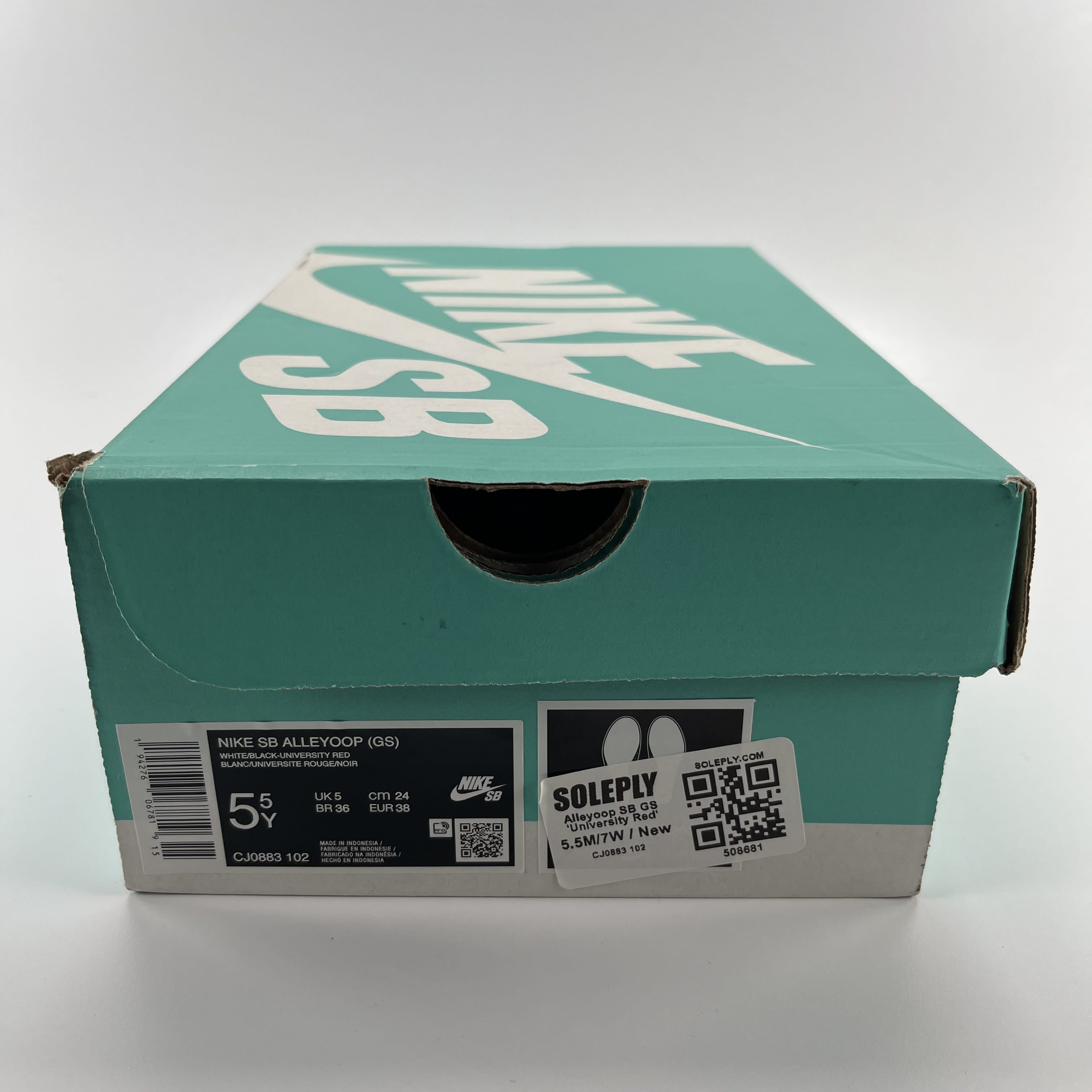 508681 Alleyoop SB GS 'University Red'