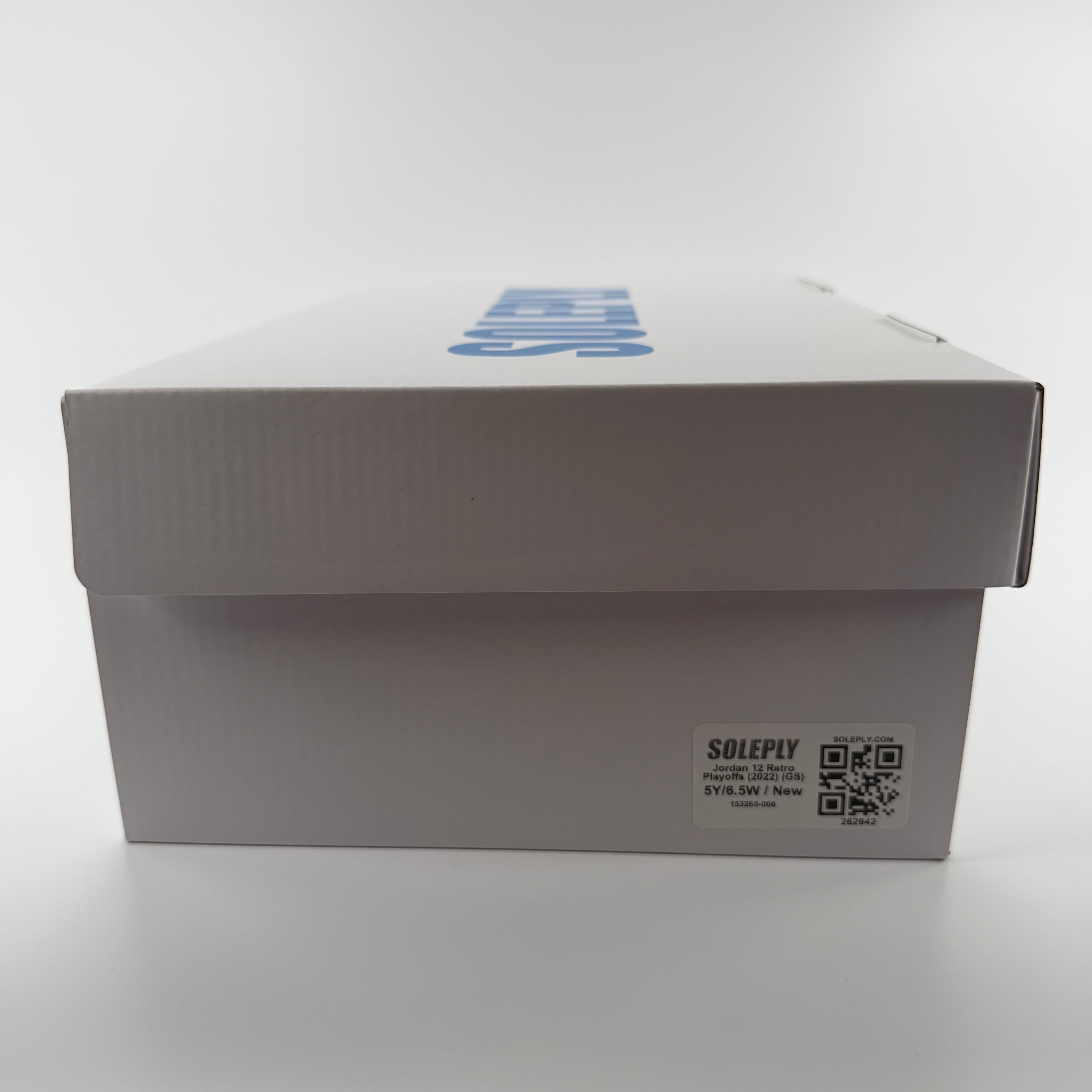 262942 Jordan 12 Retro Playoffs (2022) (GS)
