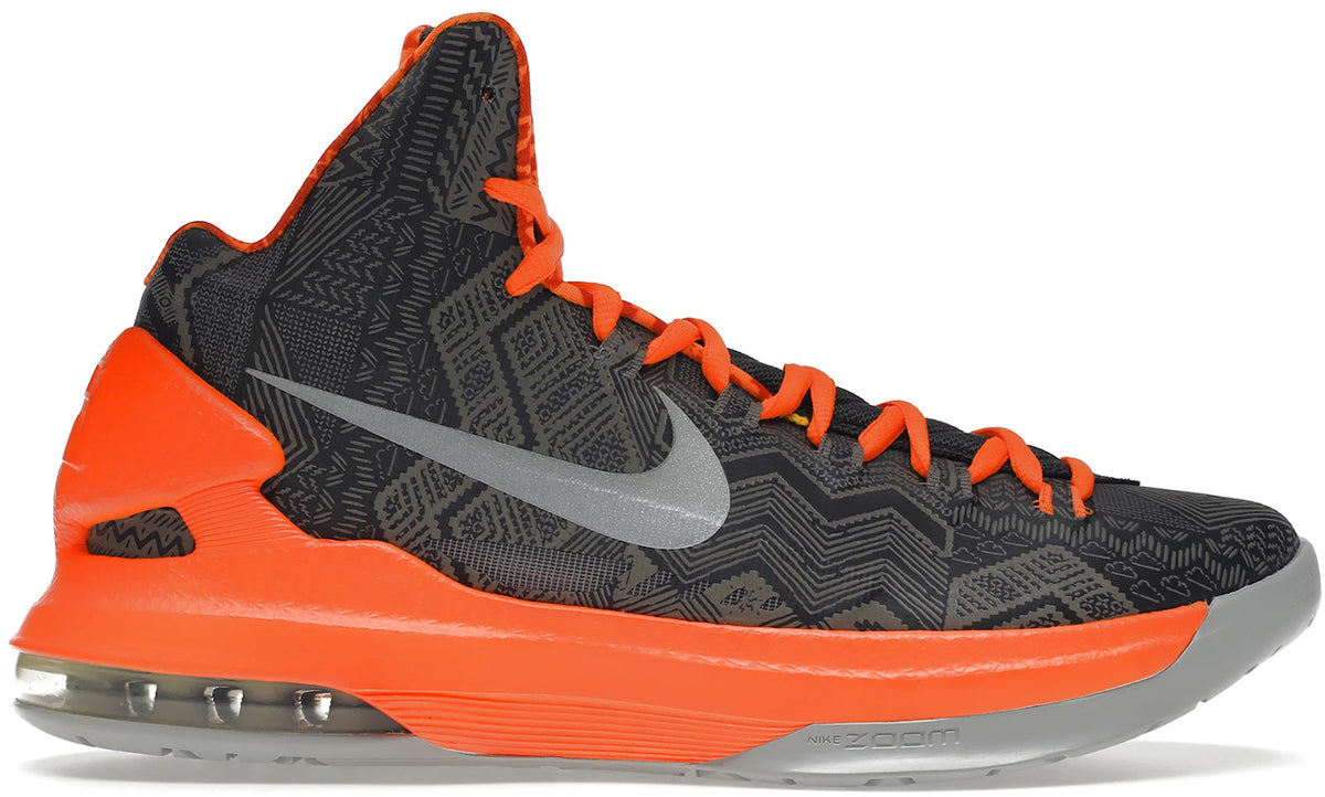 https://images.stockx.com/images/Nike-Zoom-KD-5-Black-History-Month-Product.jpg?fit=fill&bg=FFFFFF&w=1000&fm=webp&auto=compress&q=90&dpr=2&trim=color&updated_at=1738193358