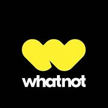 SP394 Random Clothing Item for whatnot