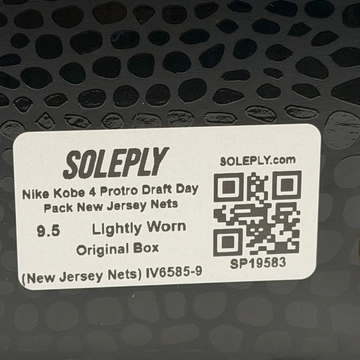 https://res.cloudinary.com/dlqdbsx2k/image/upload/v1790270899/blob_aamfqe.jpg