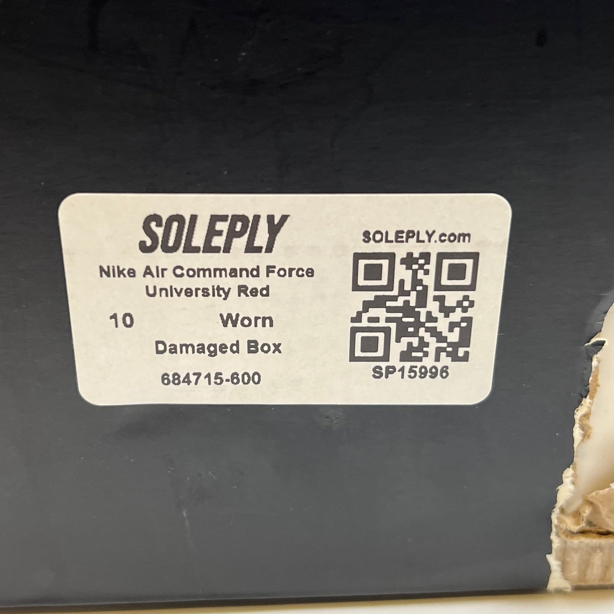https://res.cloudinary.com/dlqdbsx2k/image/upload/v1790611043/blob_bvnwgc.jpg