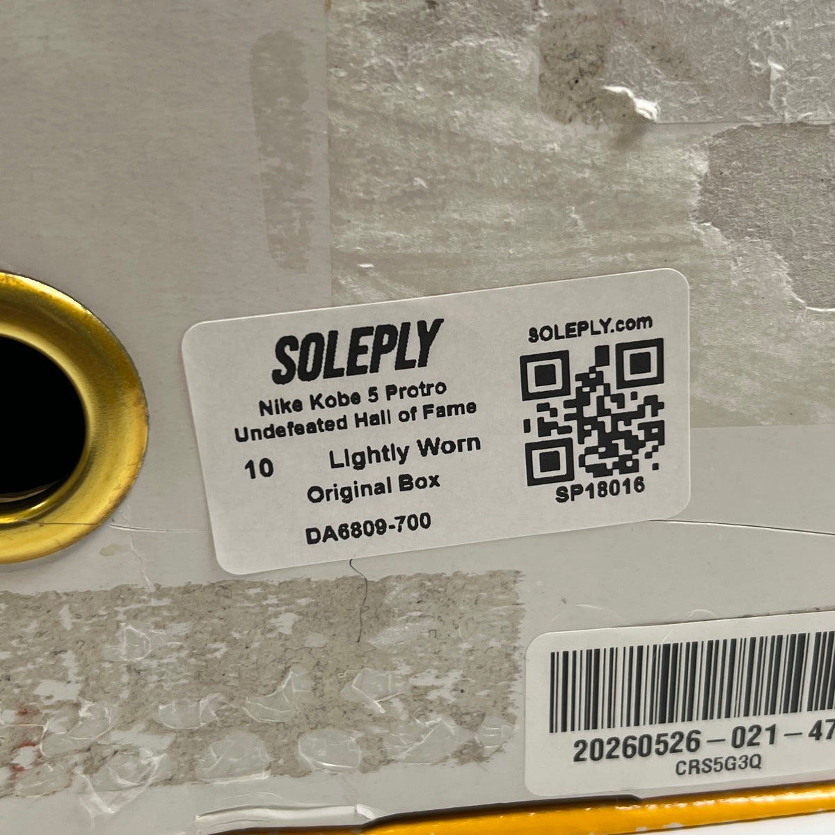 https://res.cloudinary.com/dlqdbsx2k/image/upload/v1791407503/blob_fmmxzk.jpg