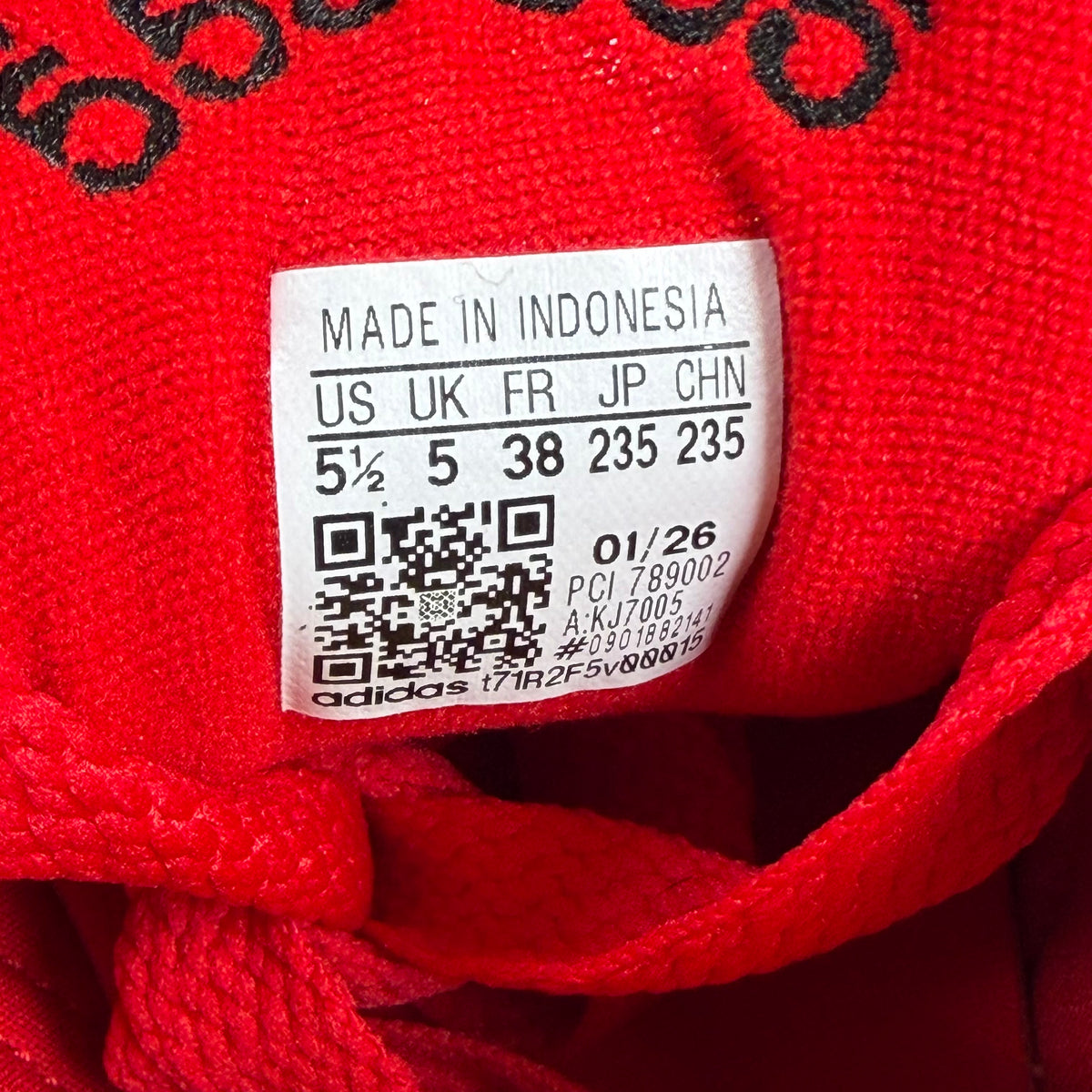 https://res.cloudinary.com/dlqdbsx2k/image/upload/v1792012057/blob_gsbuzn.jpg