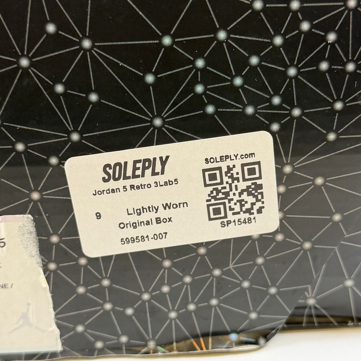 https://res.cloudinary.com/dlqdbsx2k/image/upload/v1787246624/blob_htbjvx.jpg
