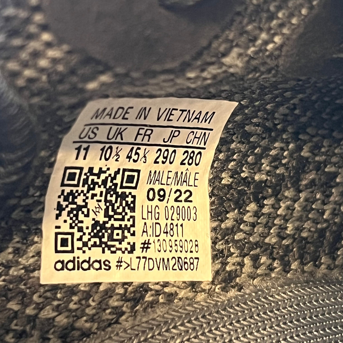 https://res.cloudinary.com/dlqdbsx2k/image/upload/v1791853417/blob_ijdgrv.jpg