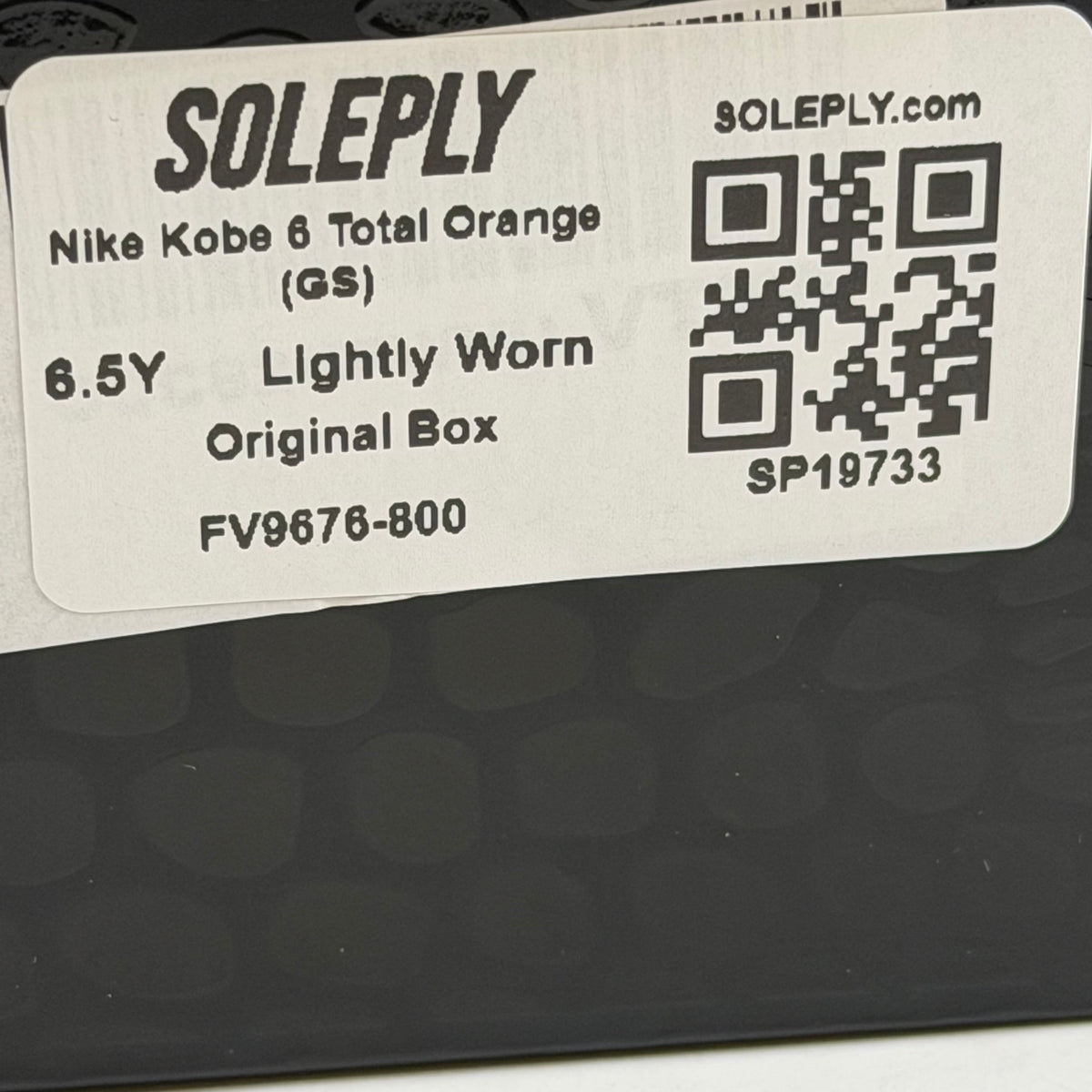 https://res.cloudinary.com/dlqdbsx2k/image/upload/v1790874403/blob_jw5xdc.jpg