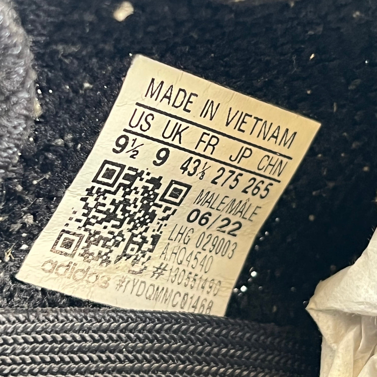 https://res.cloudinary.com/dlqdbsx2k/image/upload/v1790613248/blob_m2fmc2.jpg