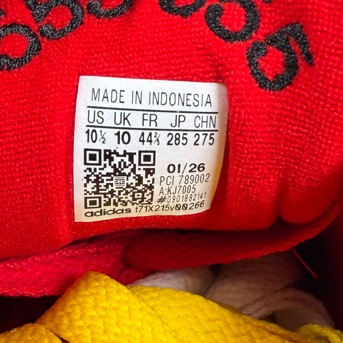 https://res.cloudinary.com/dlqdbsx2k/image/upload/v1792011426/blob_mktfyo.jpg