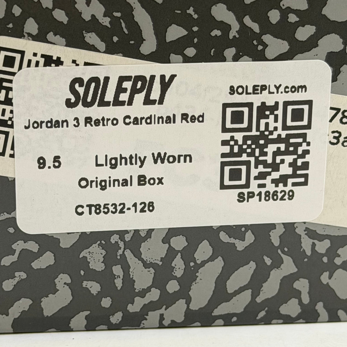 https://res.cloudinary.com/dlqdbsx2k/image/upload/v1789236601/blob_ody4cy.jpg