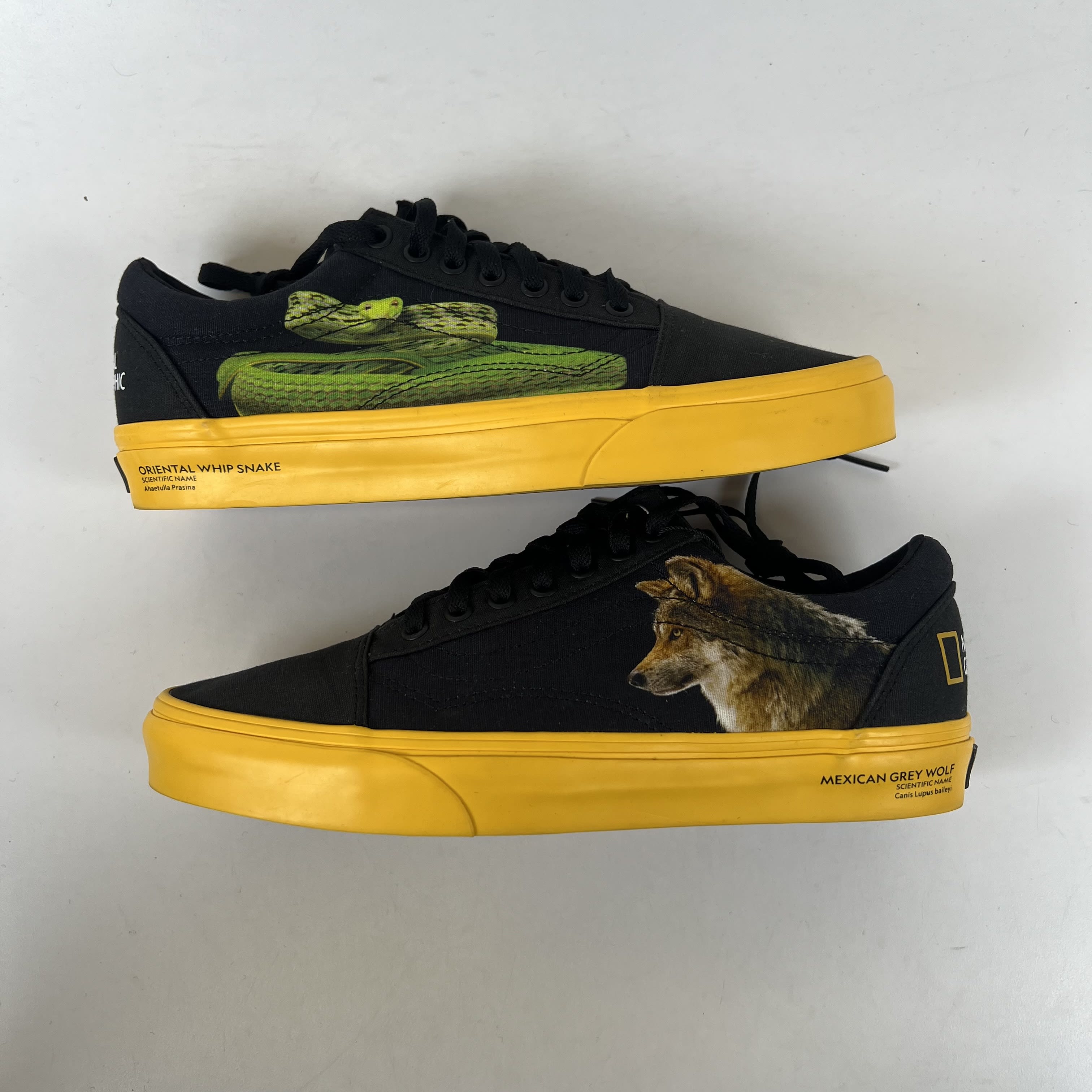 [SP13136] Vans Old Skool National Geographic