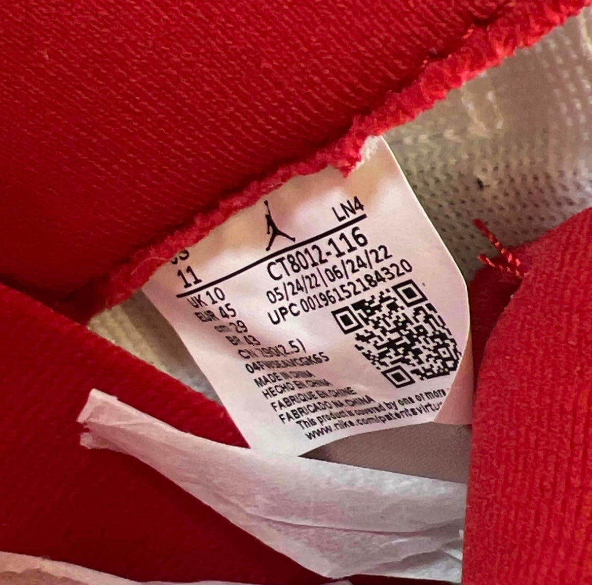 https://res.cloudinary.com/dlqdbsx2k/image/upload/v1790701835/blob_qwcno4.jpg