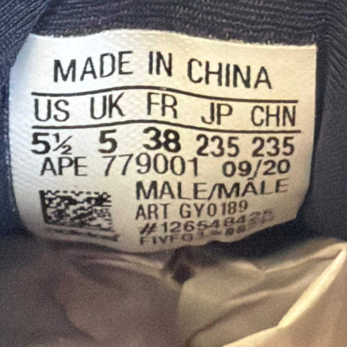 https://res.cloudinary.com/dlqdbsx2k/image/upload/v1788719892/blob_rv3qjn.jpg