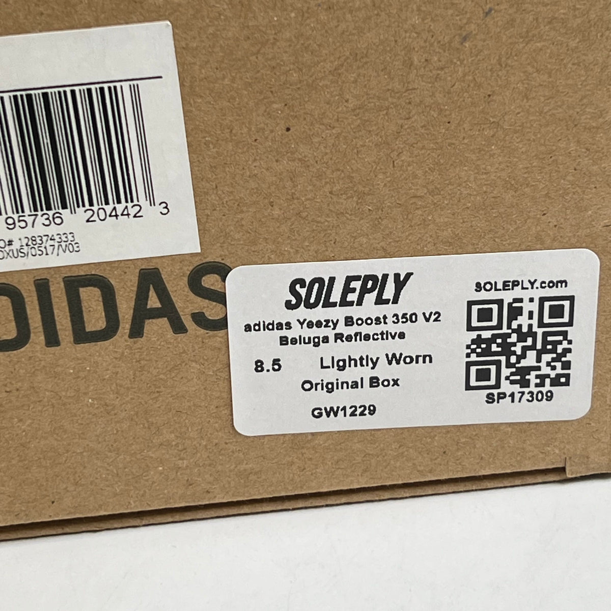 https://res.cloudinary.com/dlqdbsx2k/image/upload/v1790640332/blob_t0u0zz.jpg
