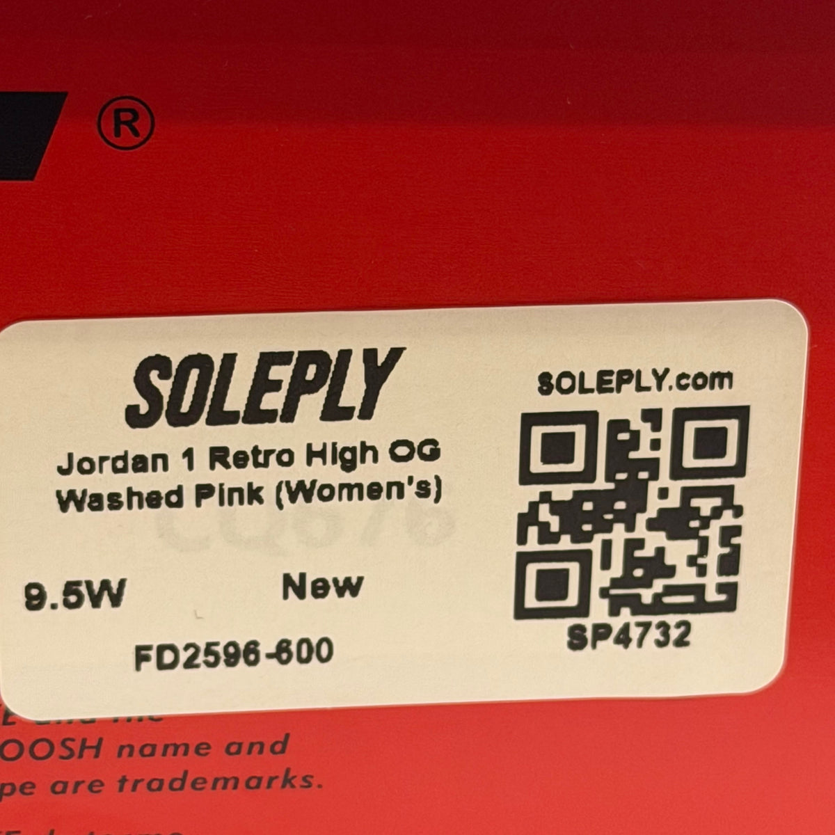 https://res.cloudinary.com/dlqdbsx2k/image/upload/v1787846012/blob_toqbkc.jpg