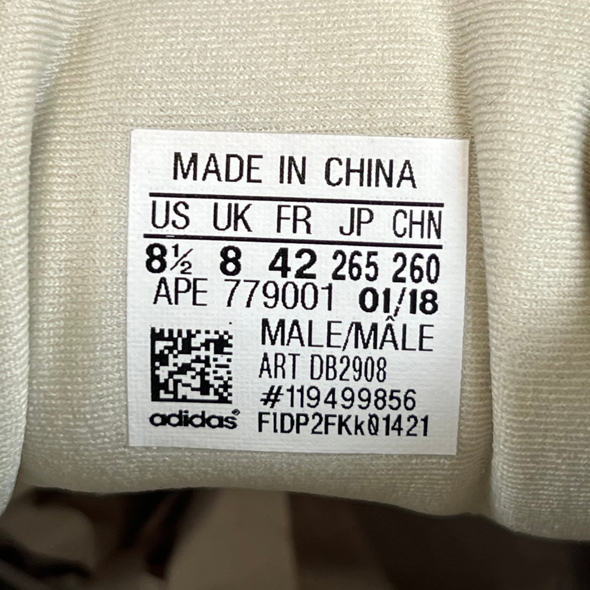https://res.cloudinary.com/dlqdbsx2k/image/upload/v1790629173/blob_uuq2q0.jpg