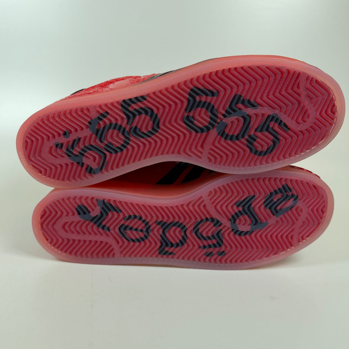 https://res.cloudinary.com/dlqdbsx2k/image/upload/v1792011424/blob_wxd2ru.jpg