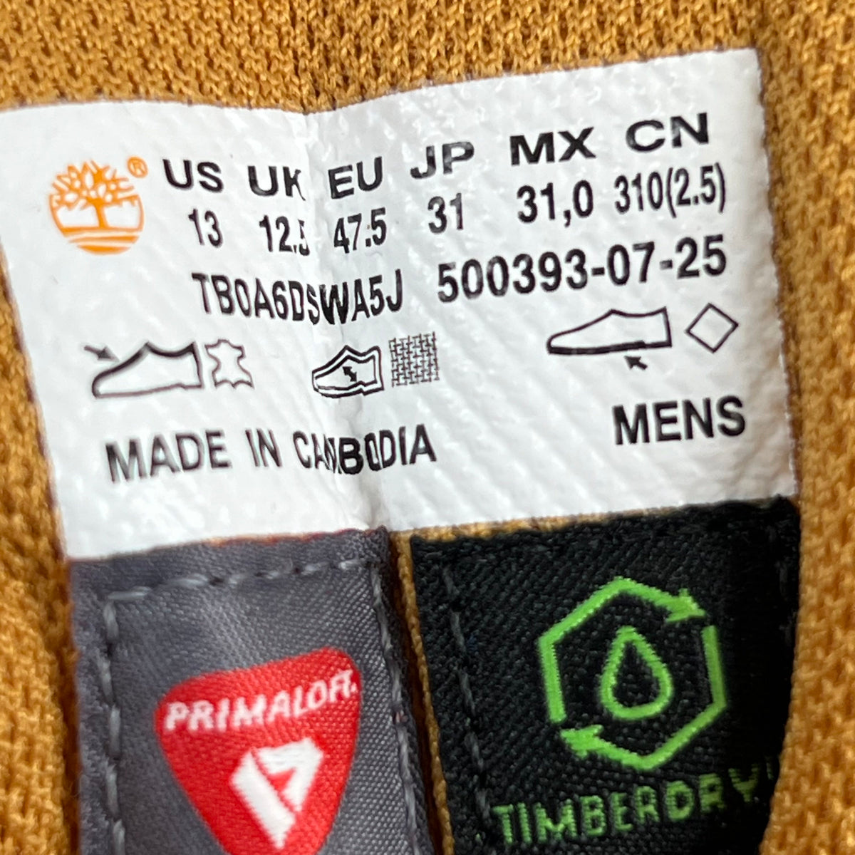 https://res.cloudinary.com/dlqdbsx2k/image/upload/v1789144784/blob_xtyiiu.jpg