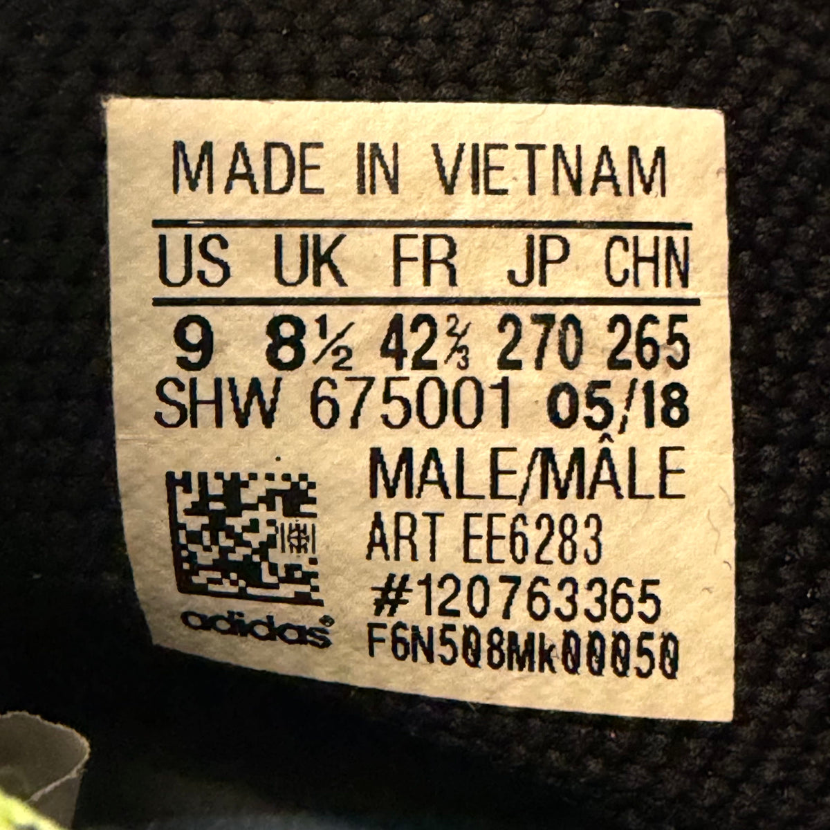 https://res.cloudinary.com/dlqdbsx2k/image/upload/v1791384761/blob_xvoprx.jpg