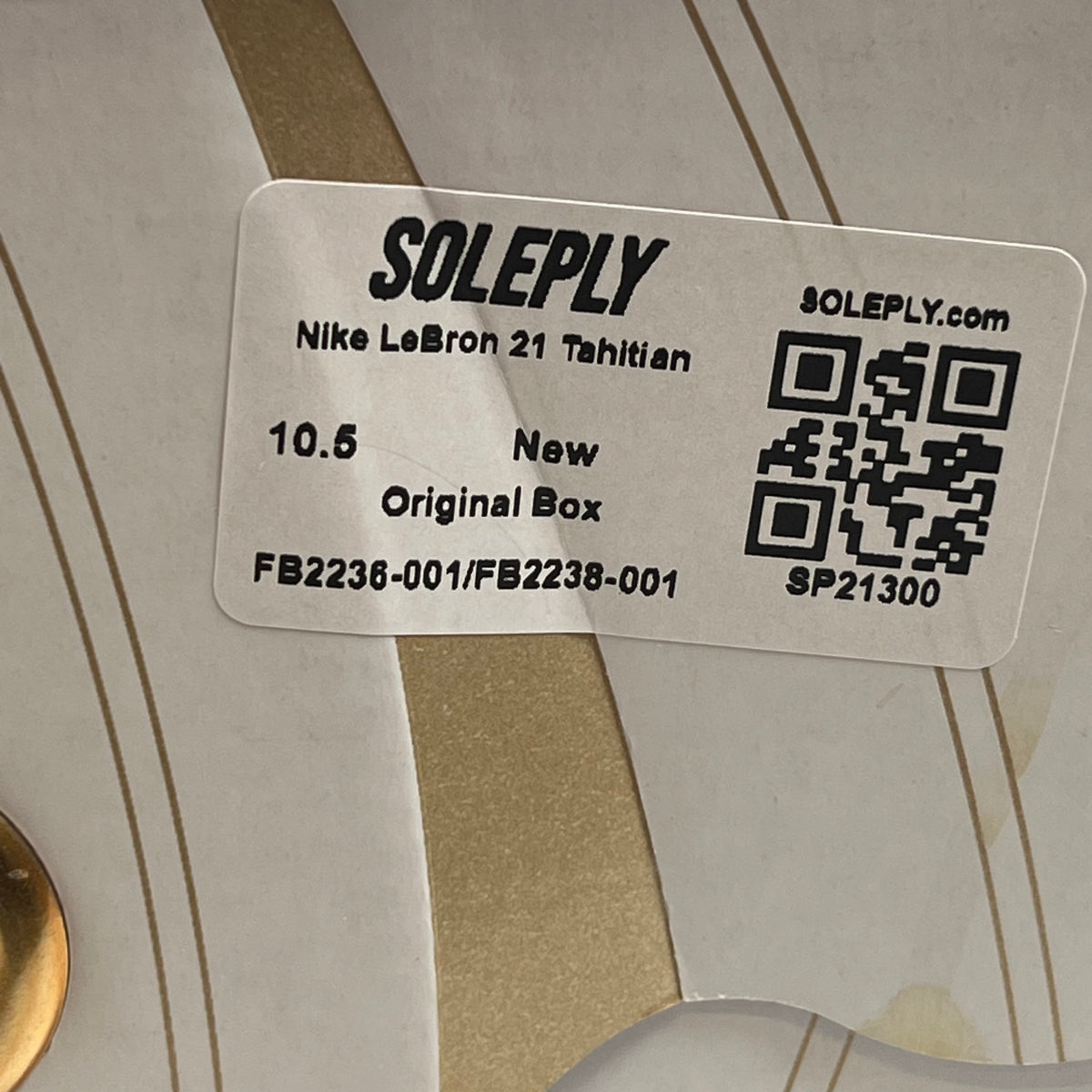 https://res.cloudinary.com/dlqdbsx2k/image/upload/v1791569721/blob_xyilzz.jpg