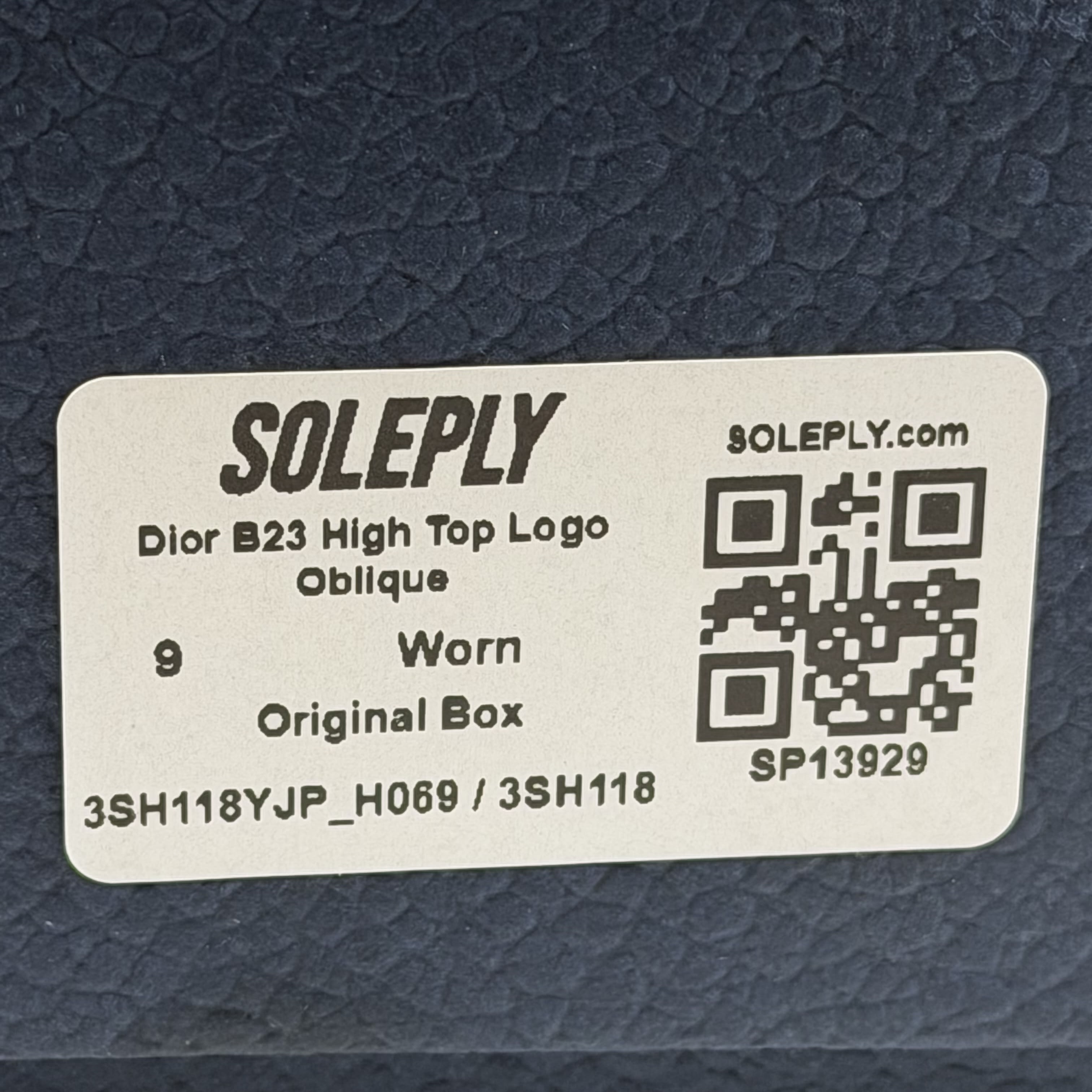 [SP13929] Dior B23 High Top Logo Oblique