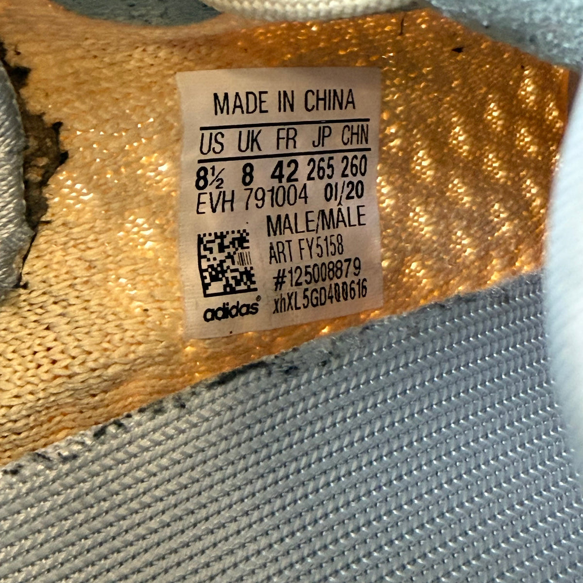 https://res.cloudinary.com/dlqdbsx2k/image/upload/v1789936911/blob_z0zt9n.jpg