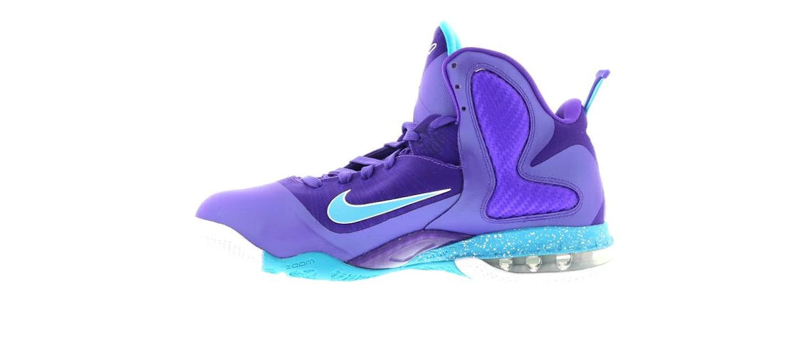 SP9775 Nike LeBron 9 Summit Lake Hornets
