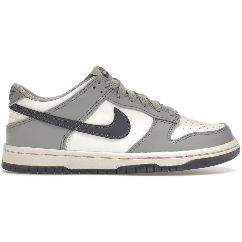 Nike Dunk Low Platinum Tint Light Carbon (GS)