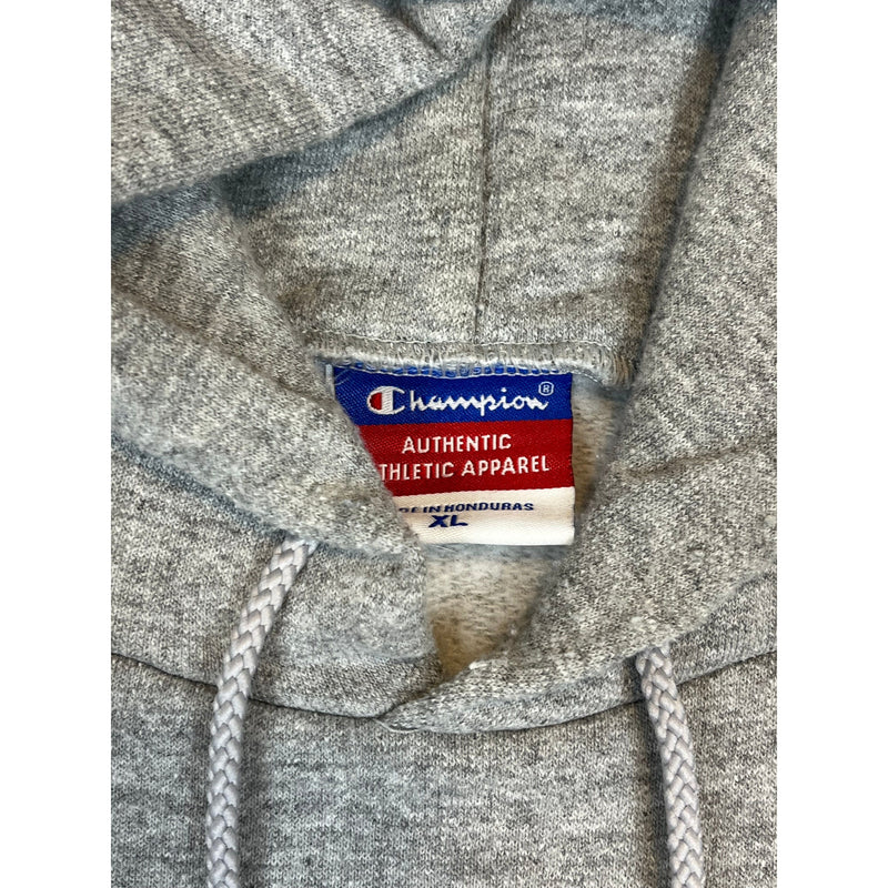 (00s) Harvard Law School Champion College Hoodie