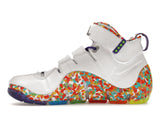 Nike LeBron 4 Fruity Pebbles (2024)