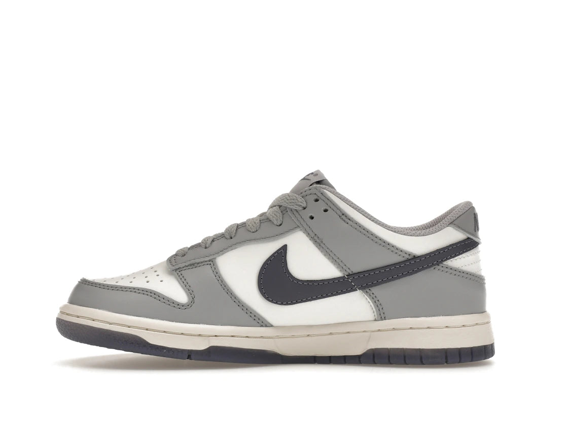 268074 Nike Dunk Low Platinum Tint Light Carbon (GS)